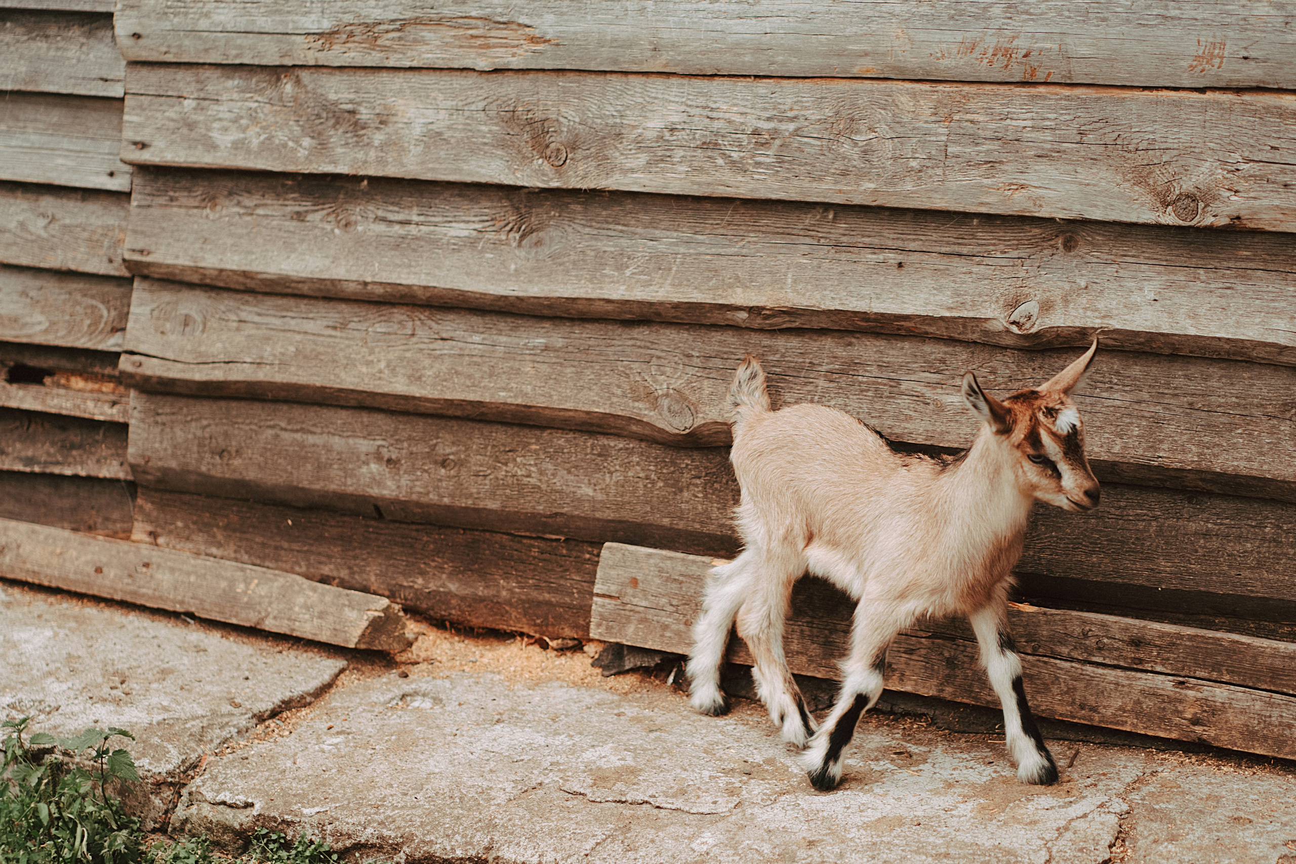 Индивидуальные. Главная