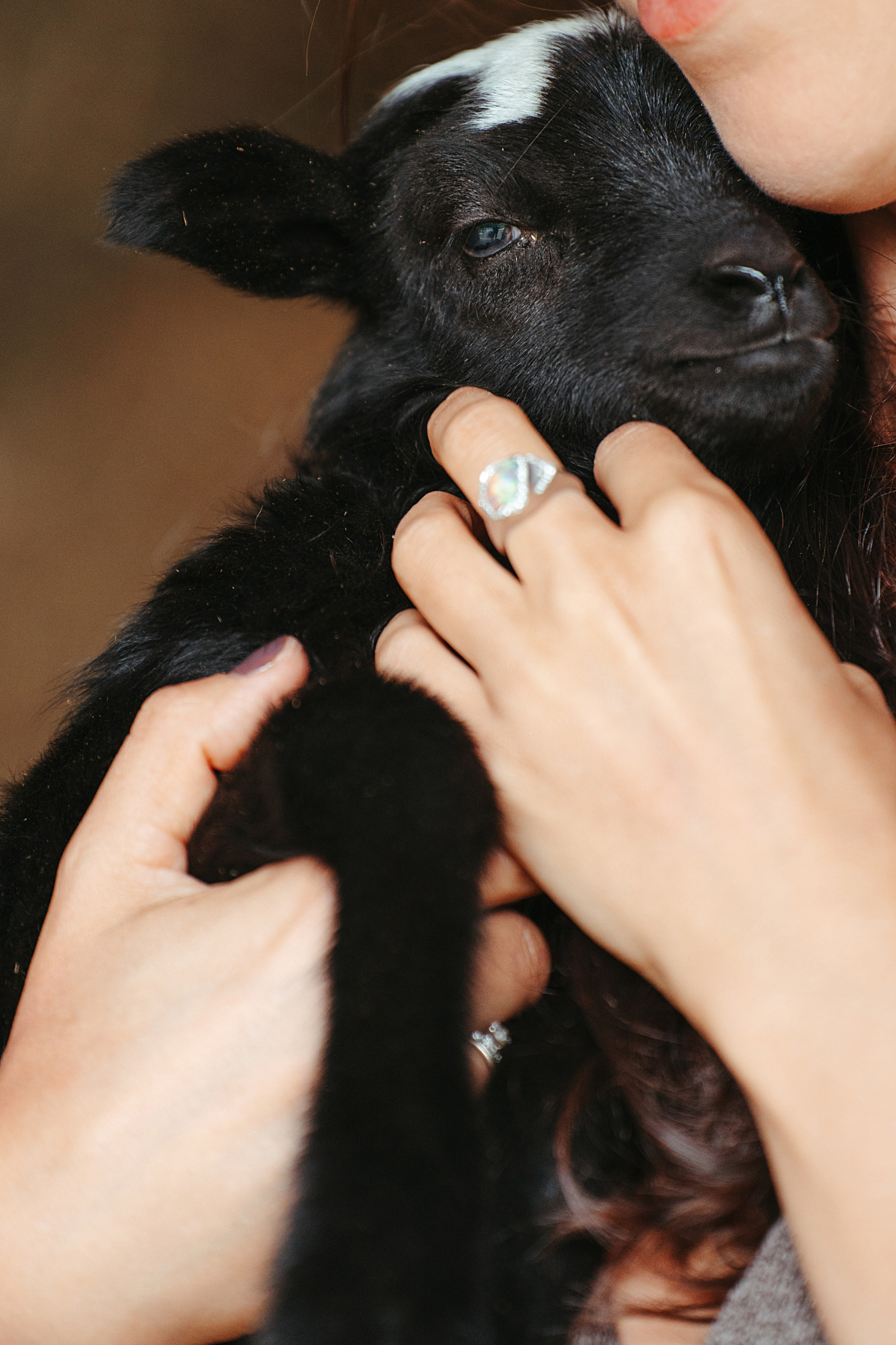 Индивидуальные. Главная