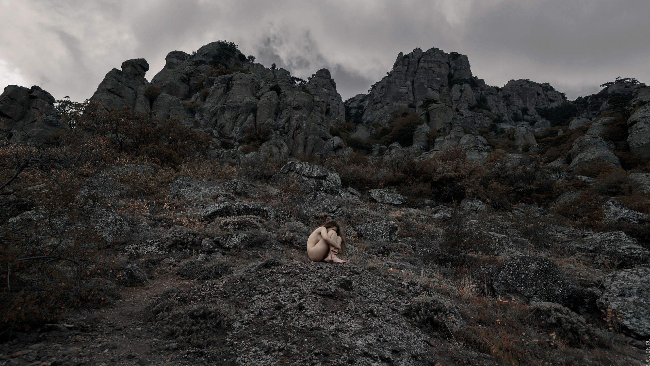 NATURAE NEXUM. Salien Adare