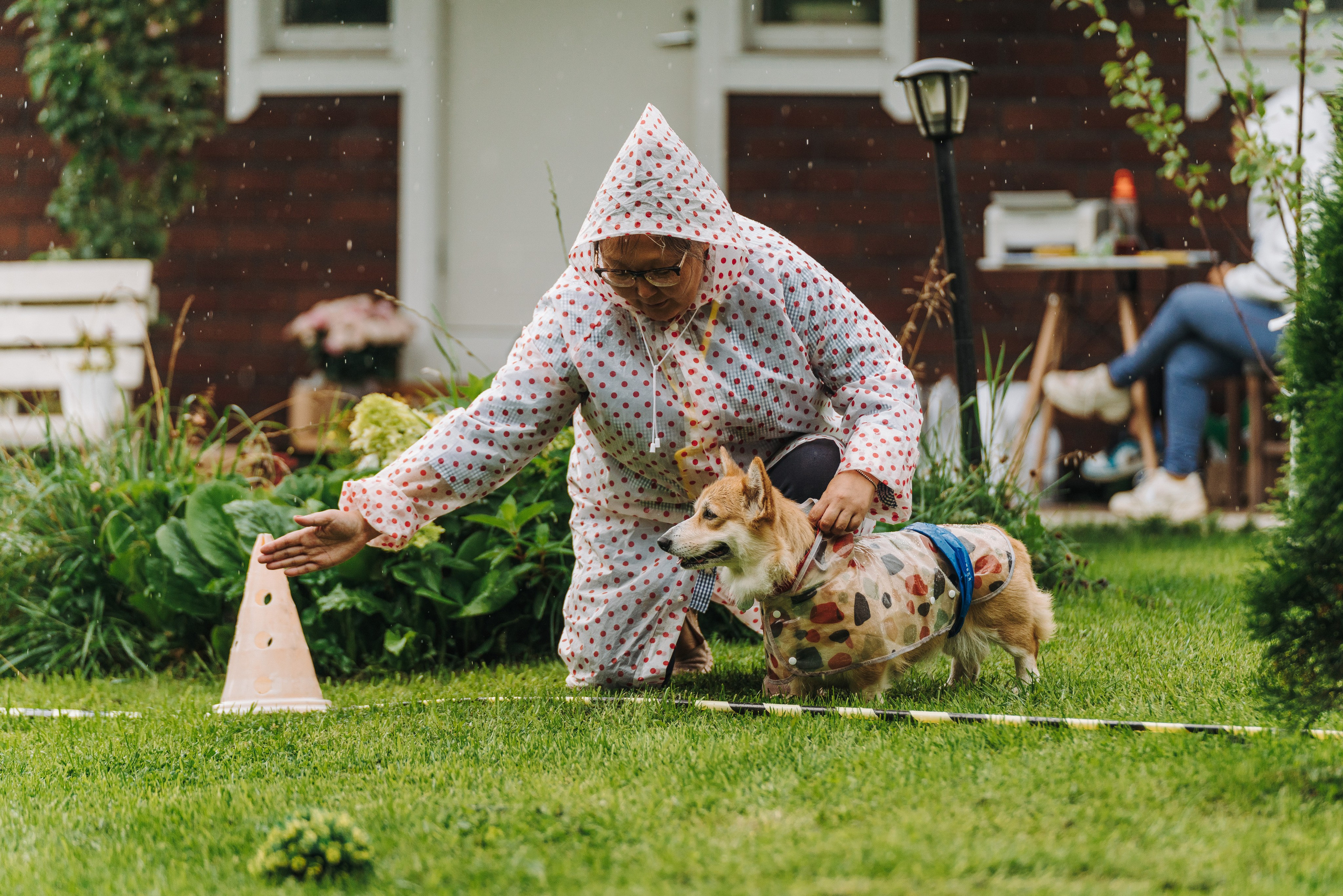 Соревнования по ноузворку в Новожилово. Фотограф анималист в Спб недорого Олеся Майорова