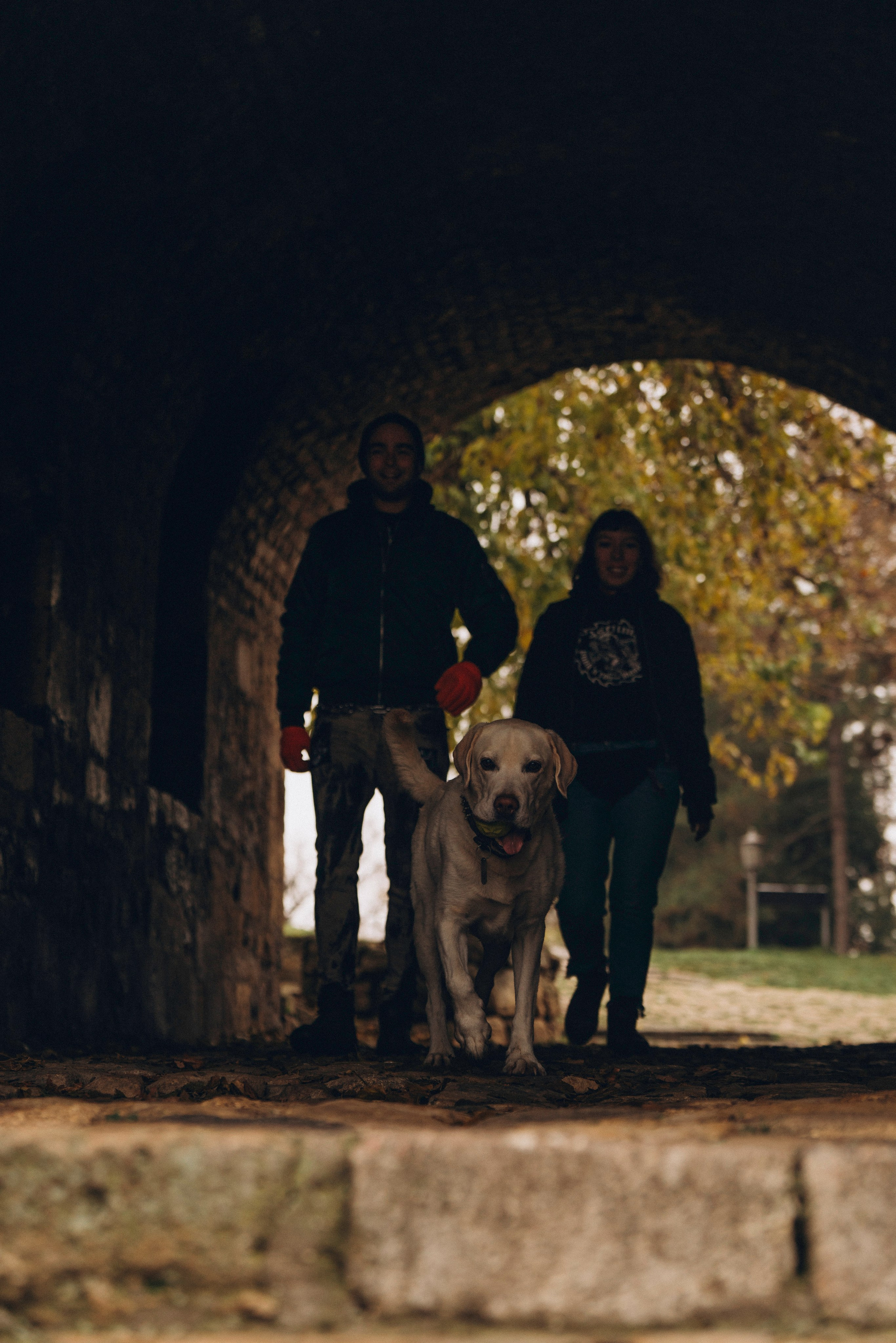 Вати, Лена и Леван. Фотограф анималист в Спб недорого Олеся Майорова