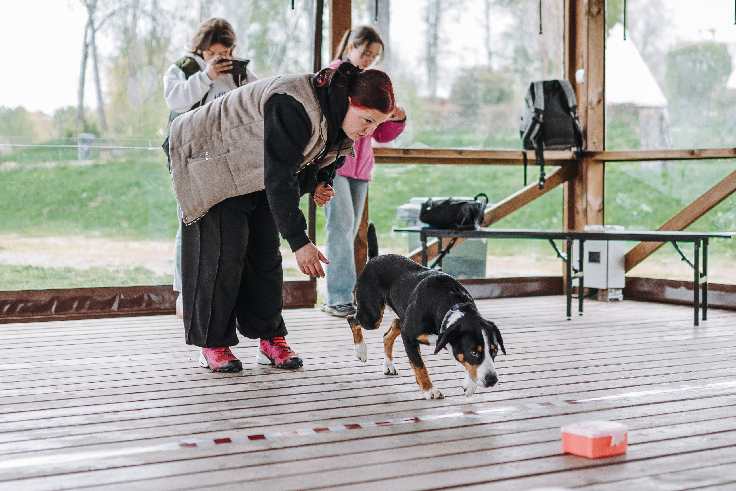 Соревнования по ноузворку в Лосево. Фотограф анималист в Спб недорого Олеся Майорова