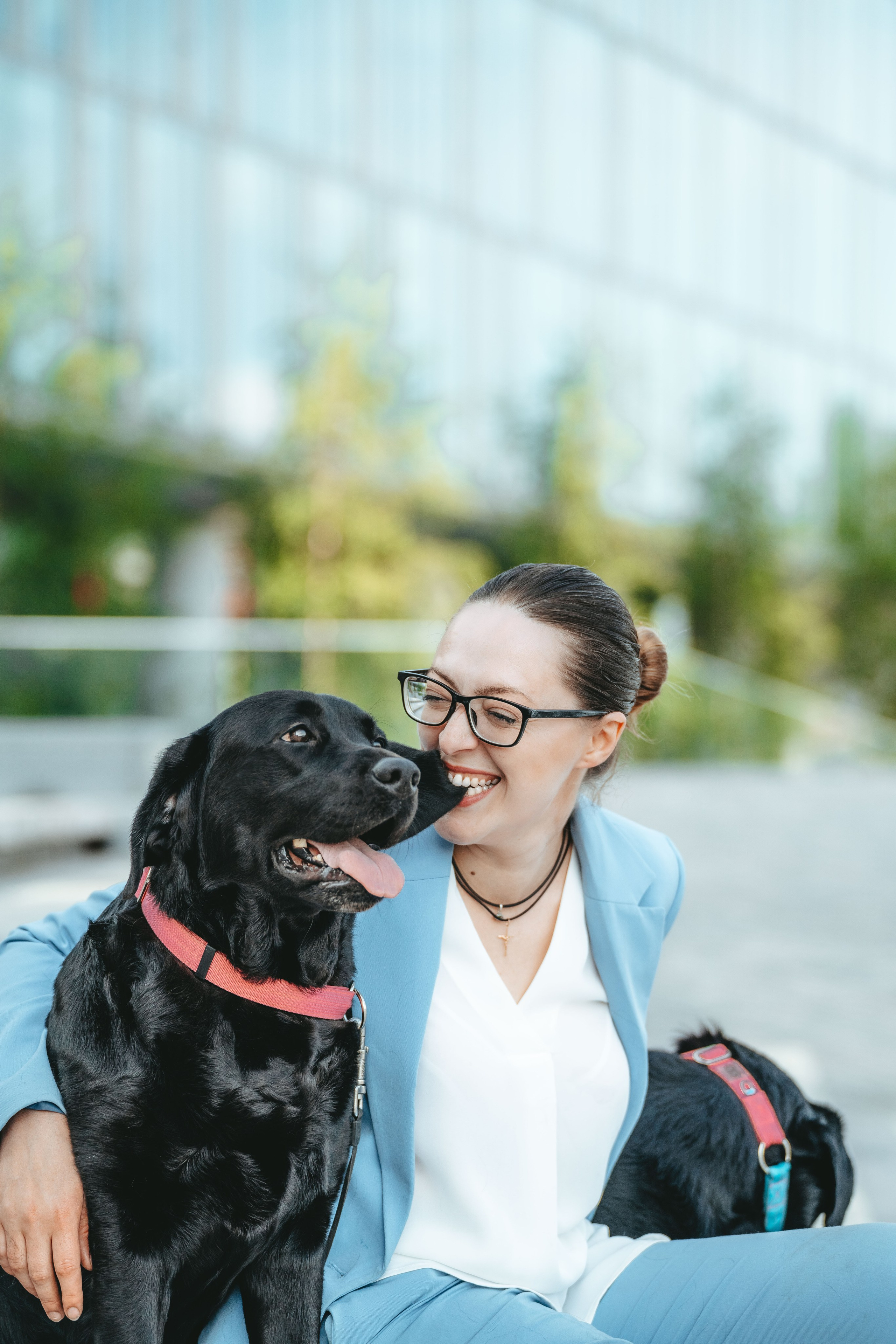 Лабрадоры питомника IRISLAV. Фотограф анималист в Спб недорого Олеся Майорова