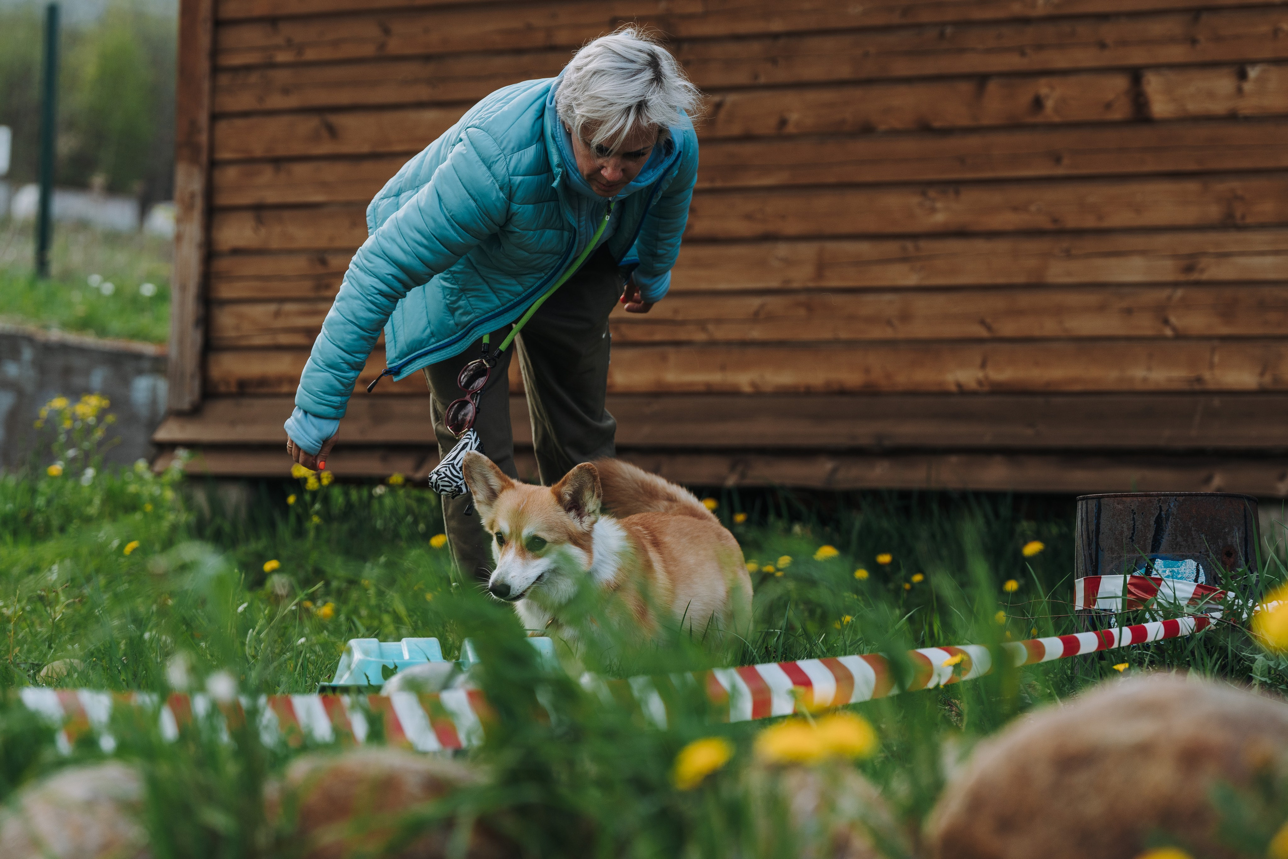 Соревнования по ноузворку в Лосево. Фотограф анималист в Спб недорого Олеся Майорова