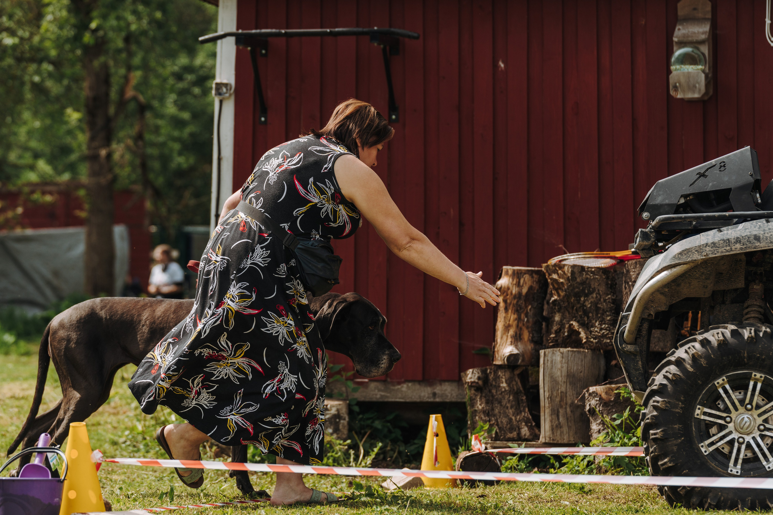 Соревнования по ноузворку. Фотограф анималист в Спб недорого Олеся Майорова