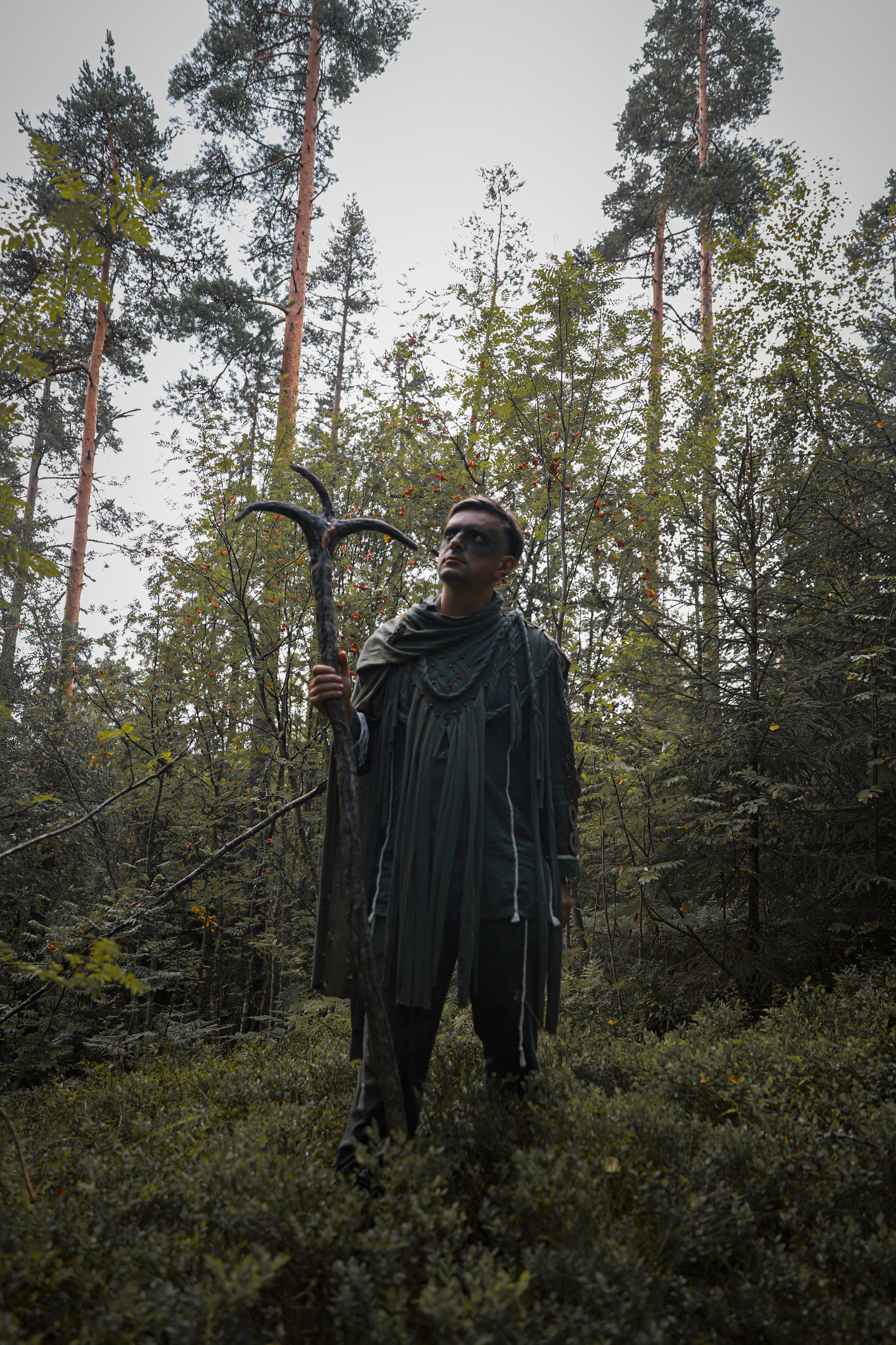 Фестиваль Жива