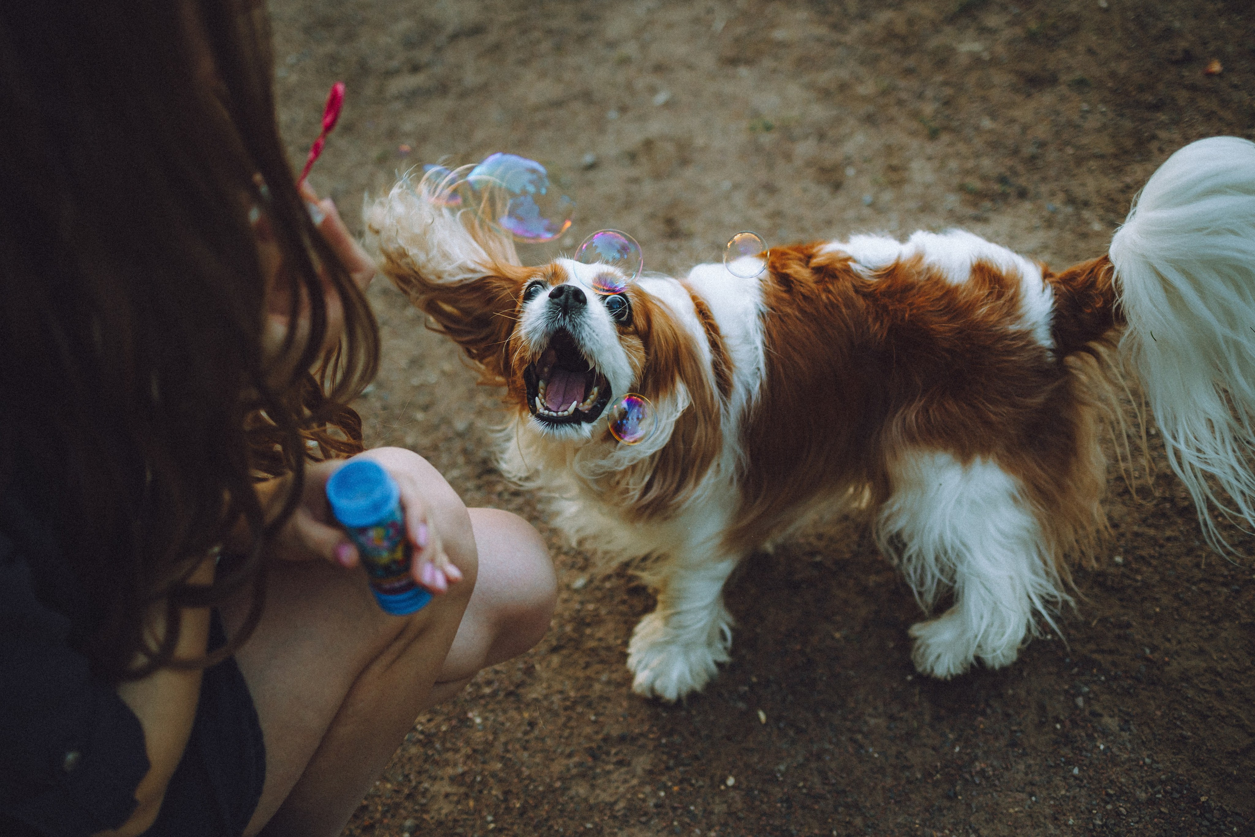 Наташа и Вики