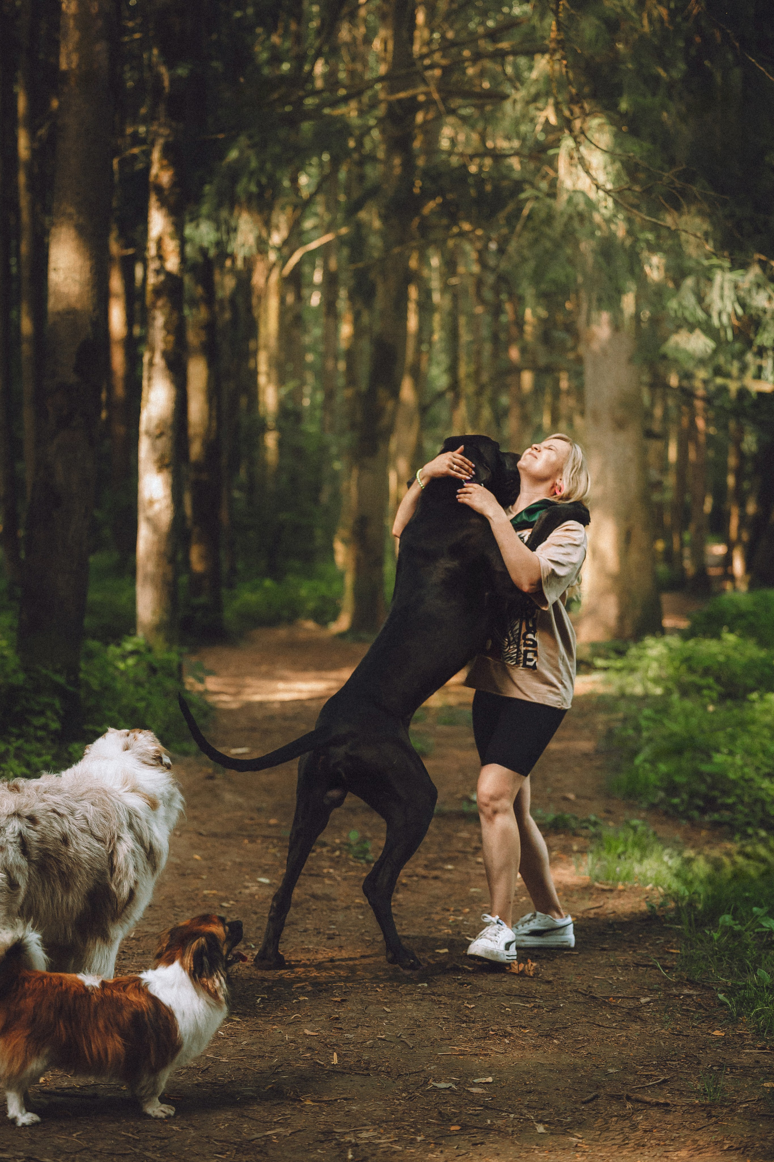 Катя, Андрей, Гектор, Ричи, Тортик и Трой