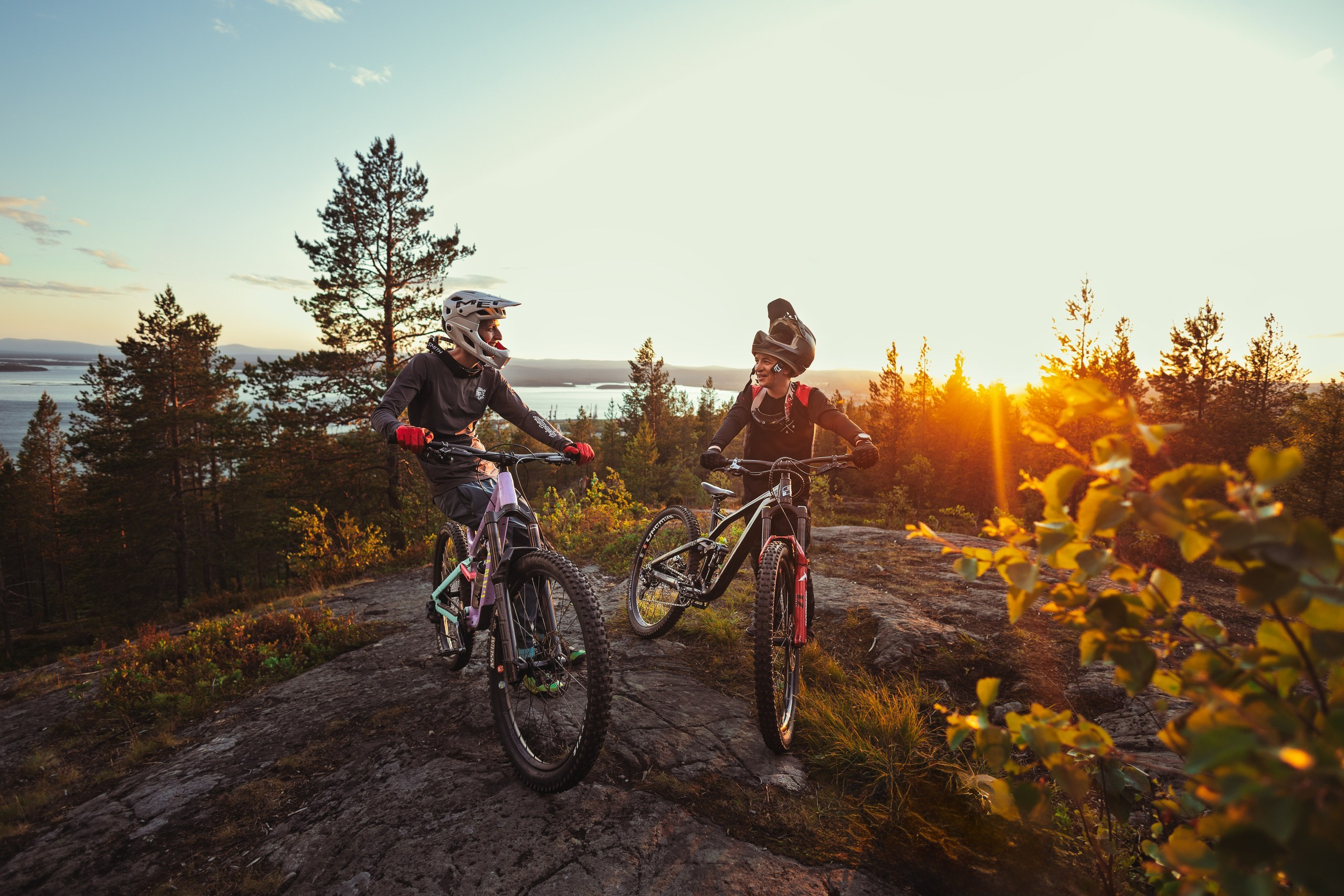 Кандалакшка. Фотограф анималист Никита Натальный