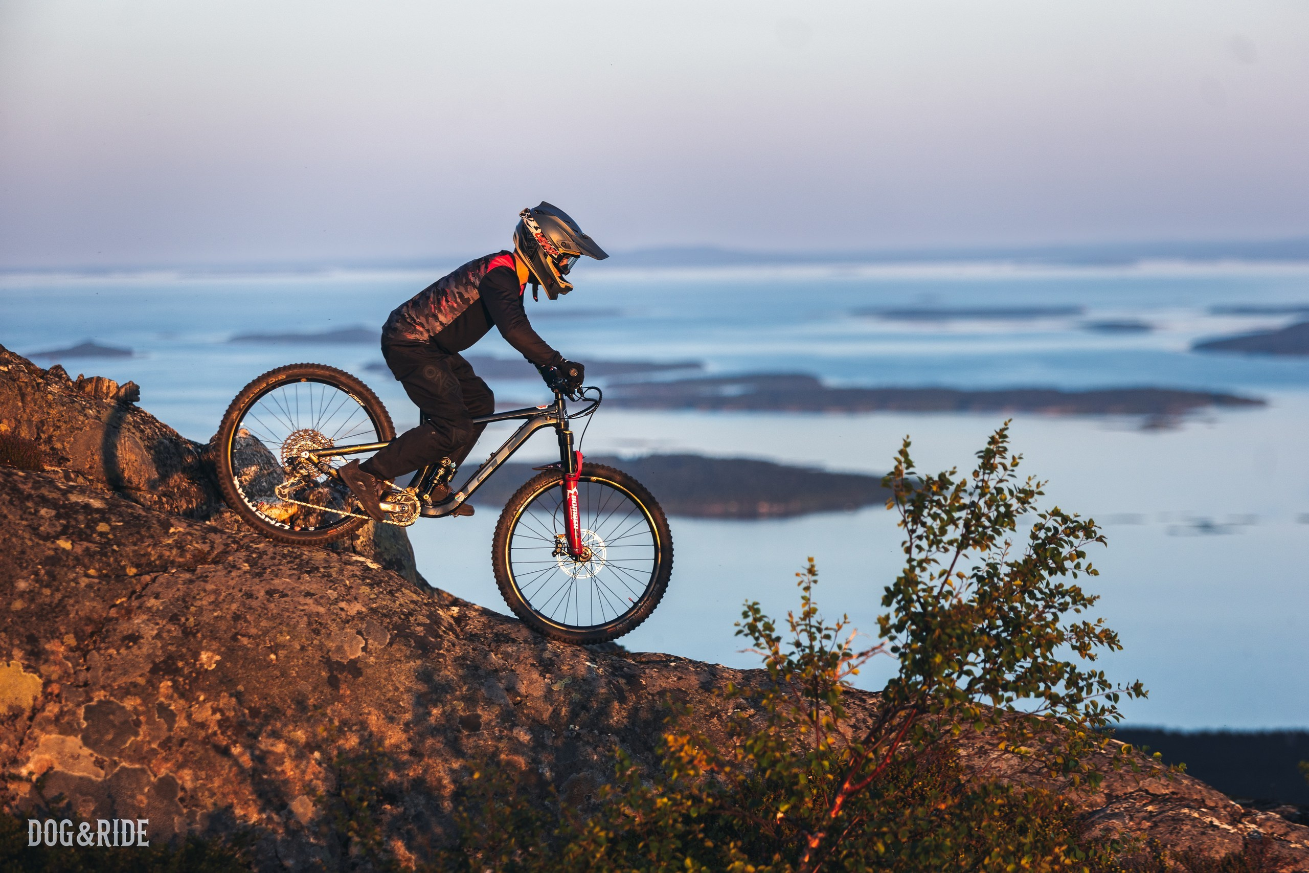 Кандалакшка. Фотограф анималист Никита Натальный