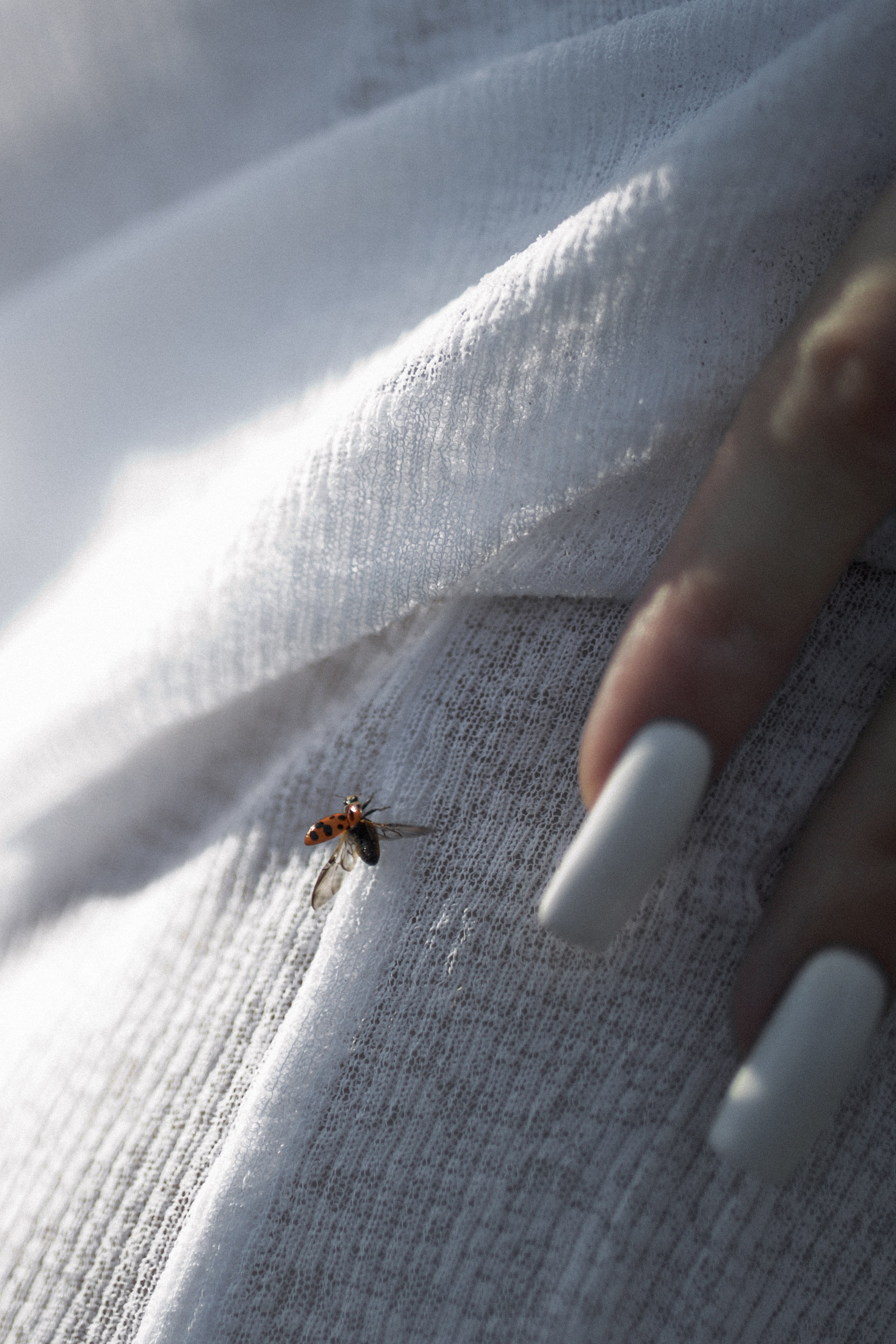 ILONA. ФОТОГРАФ Екатеринбург Москва Анастасия Замесина