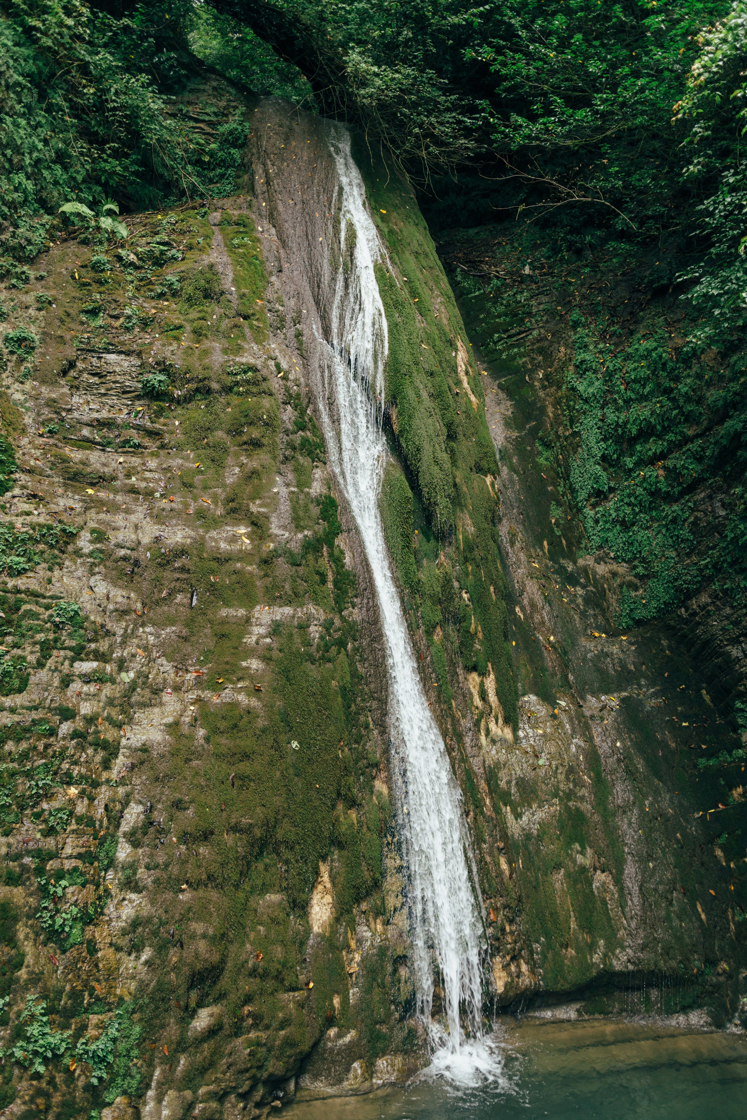 Оштенский Кордон. Семейный фотограф в Белгороде