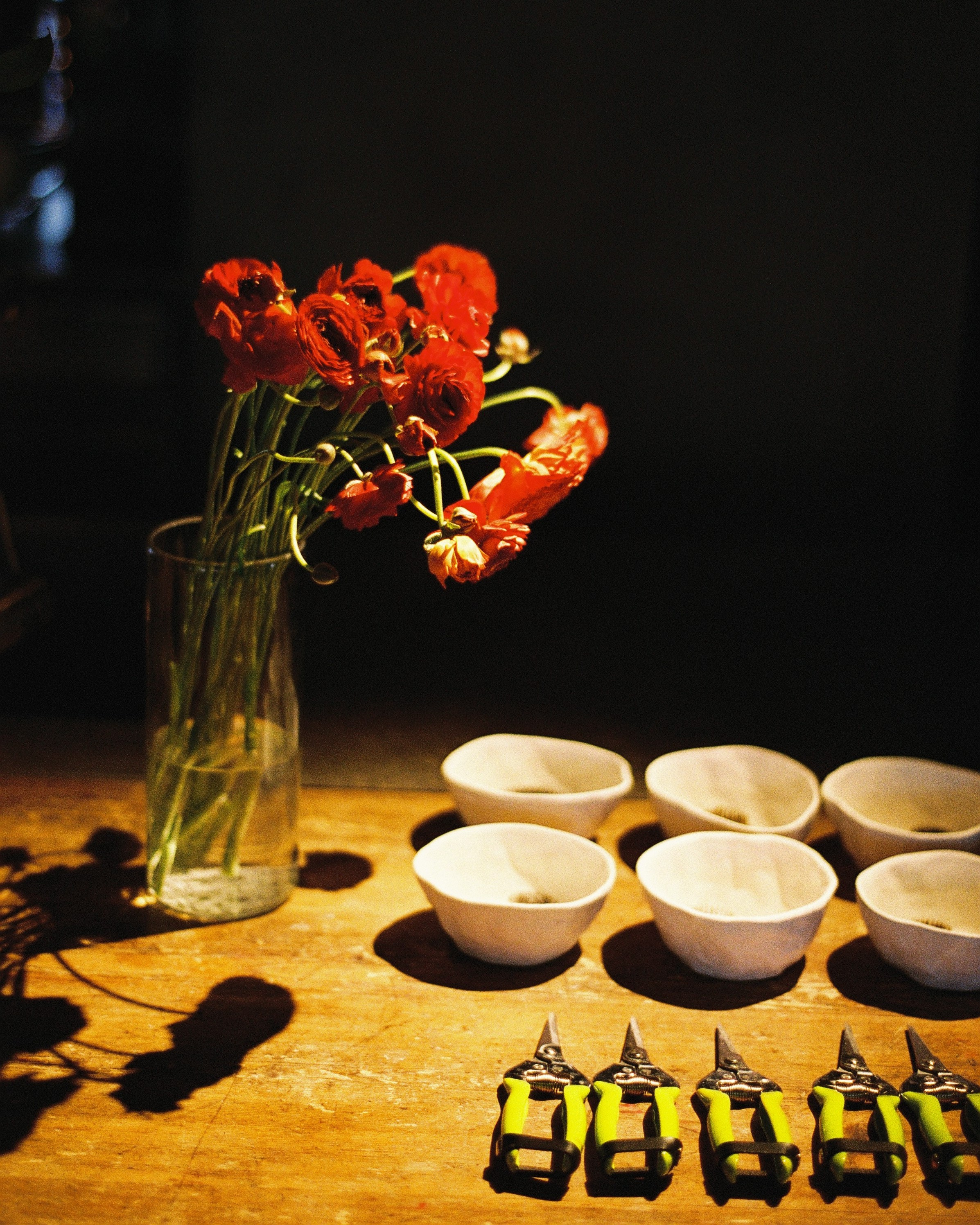Floral brunch. Raeva iya