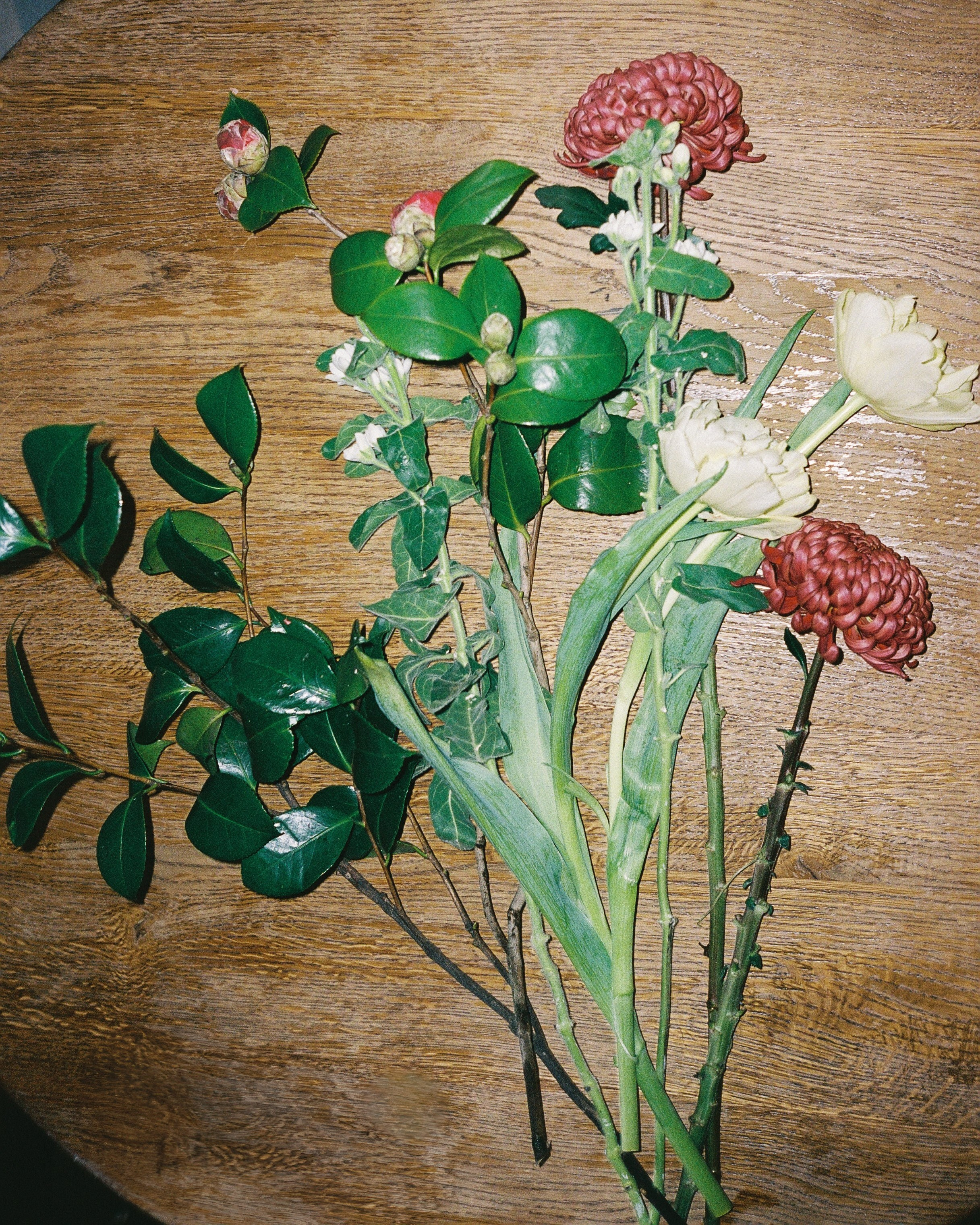 Floral brunch. Raeva iya