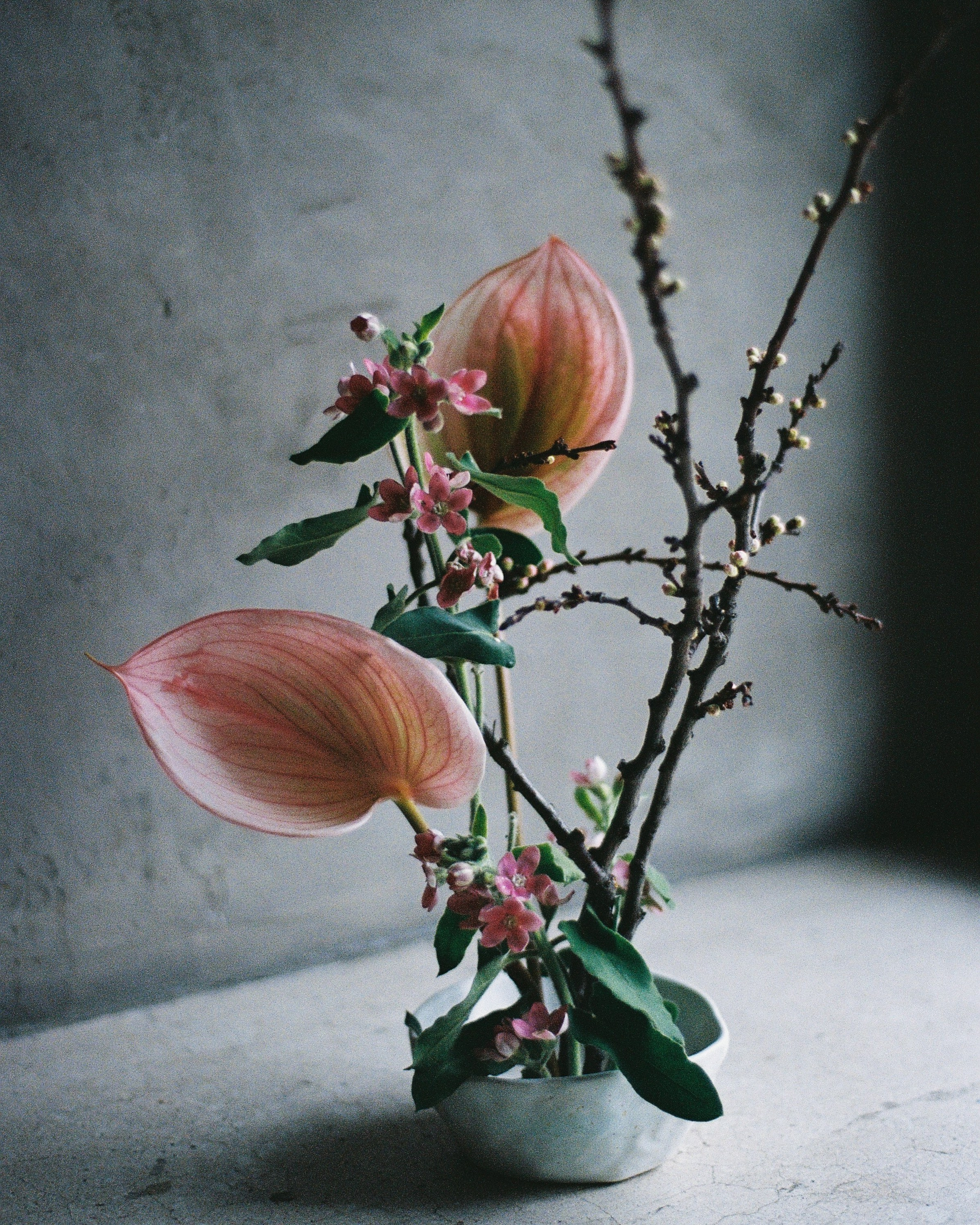 Floral brunch. Raeva iya