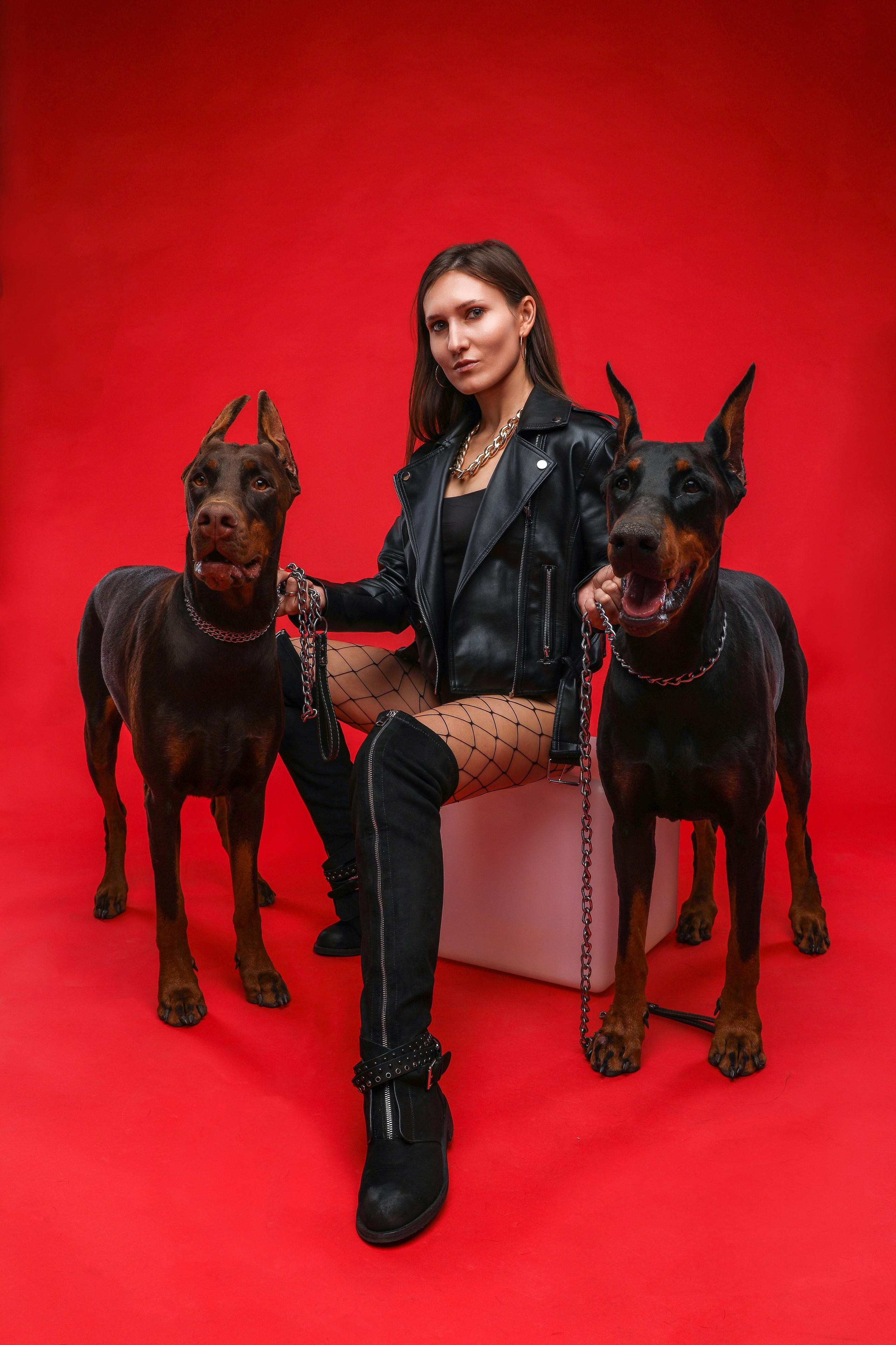 ПРОЕКТ «ДОБЕРМАНЫ». Photographer Viktoriya Markushina «My world throug»