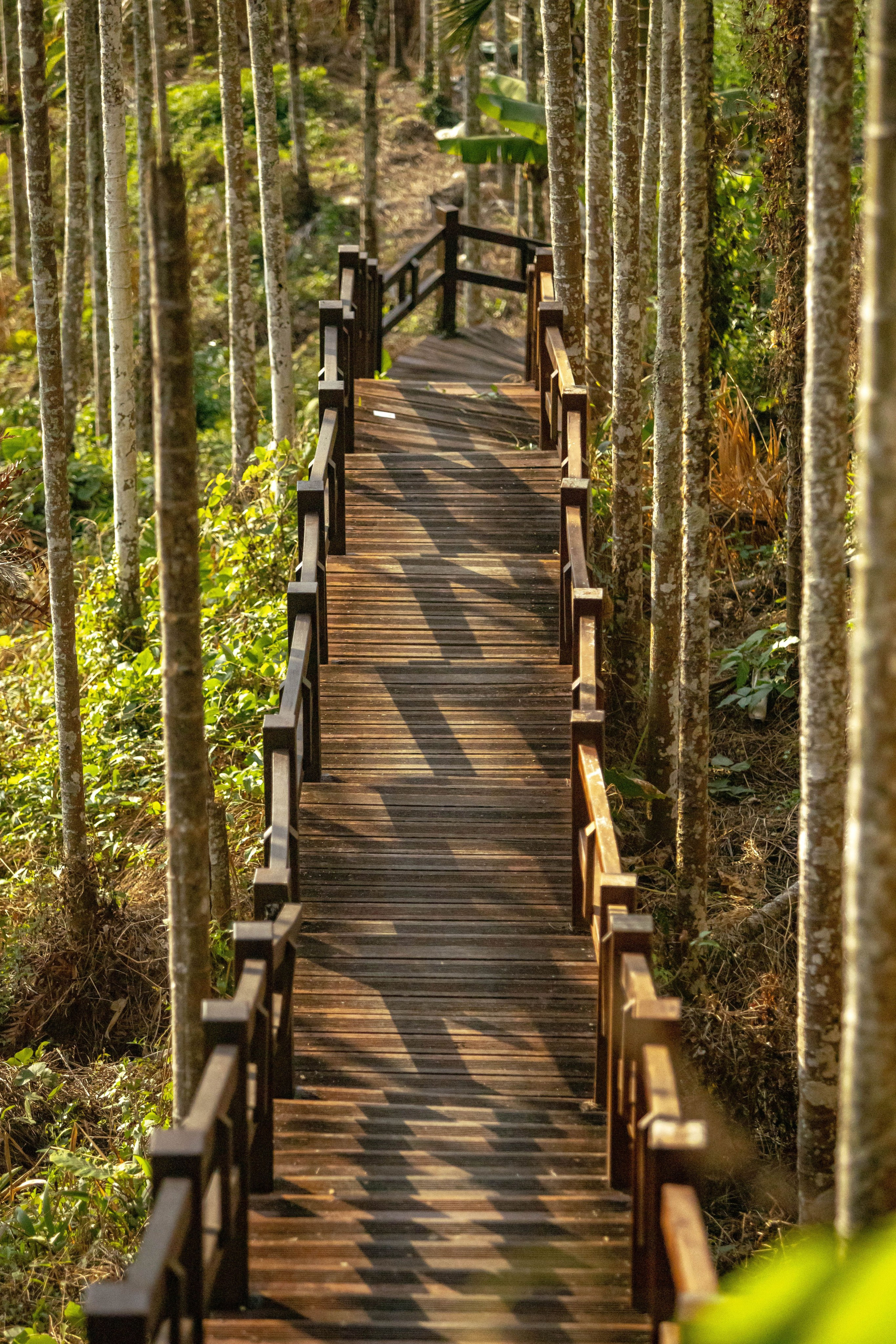 Тайвань. Фотография, ретушь, сканирование, восстановление старых фото, интерьерная съёмка, студия. Данилов Александр, Москва
