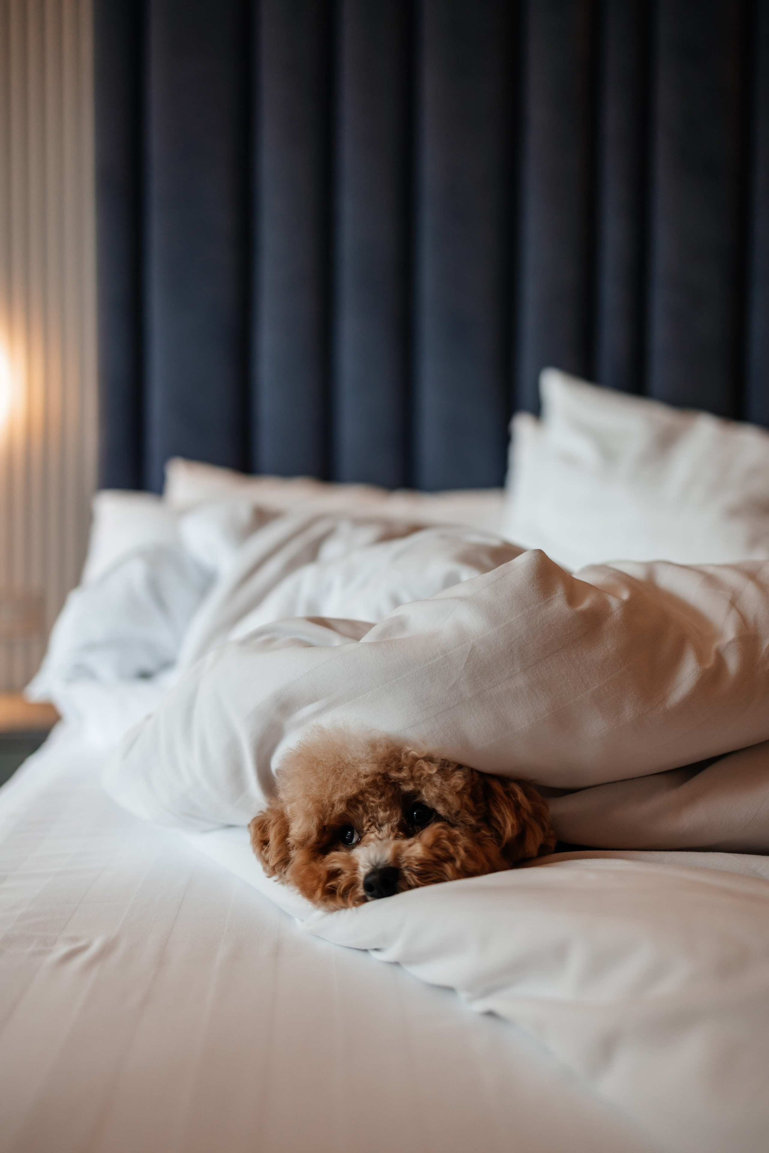 Фотограф в Сочи