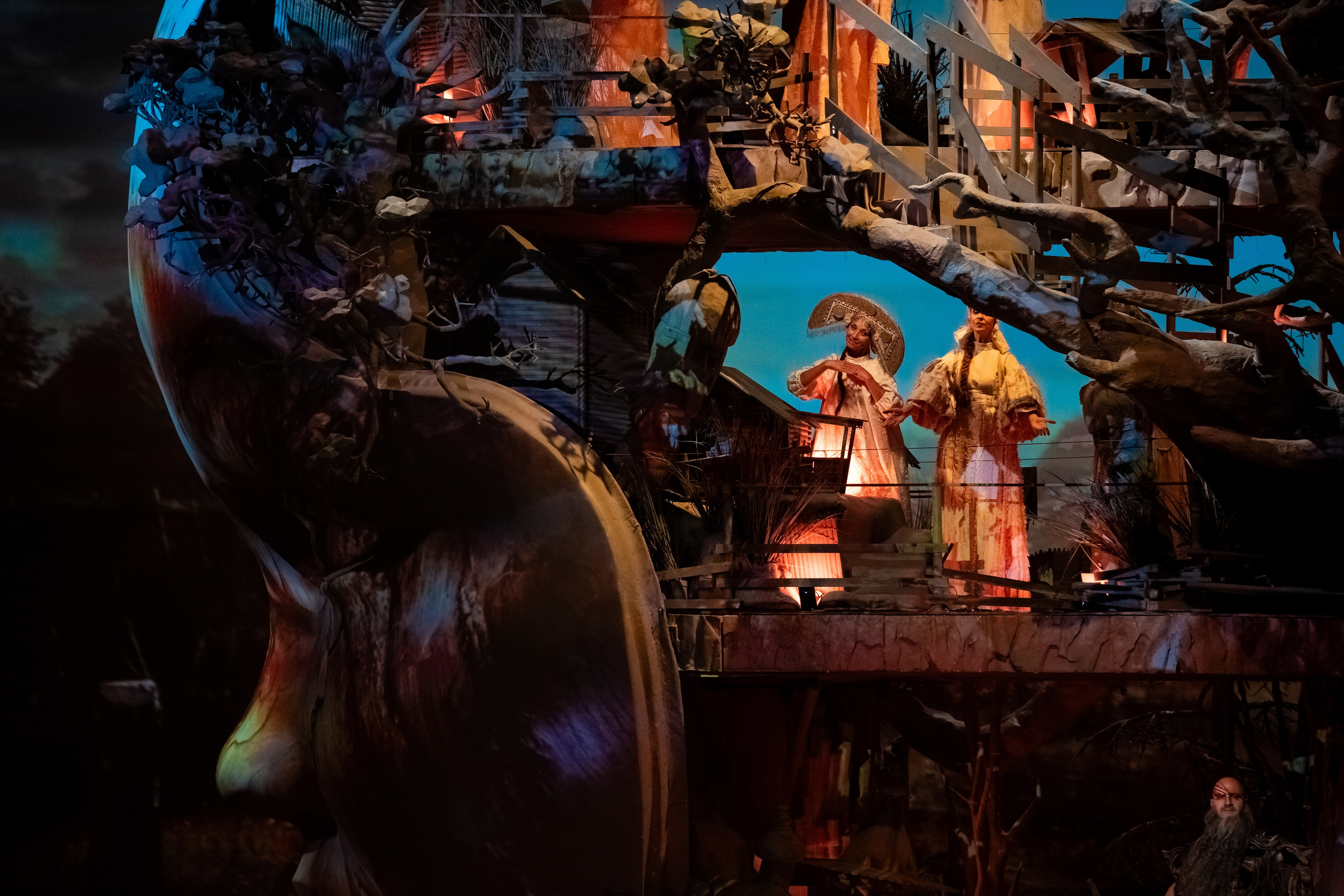 Мандрагора. Фотограф и видеограф Евгений Романов Санкт-Петербург