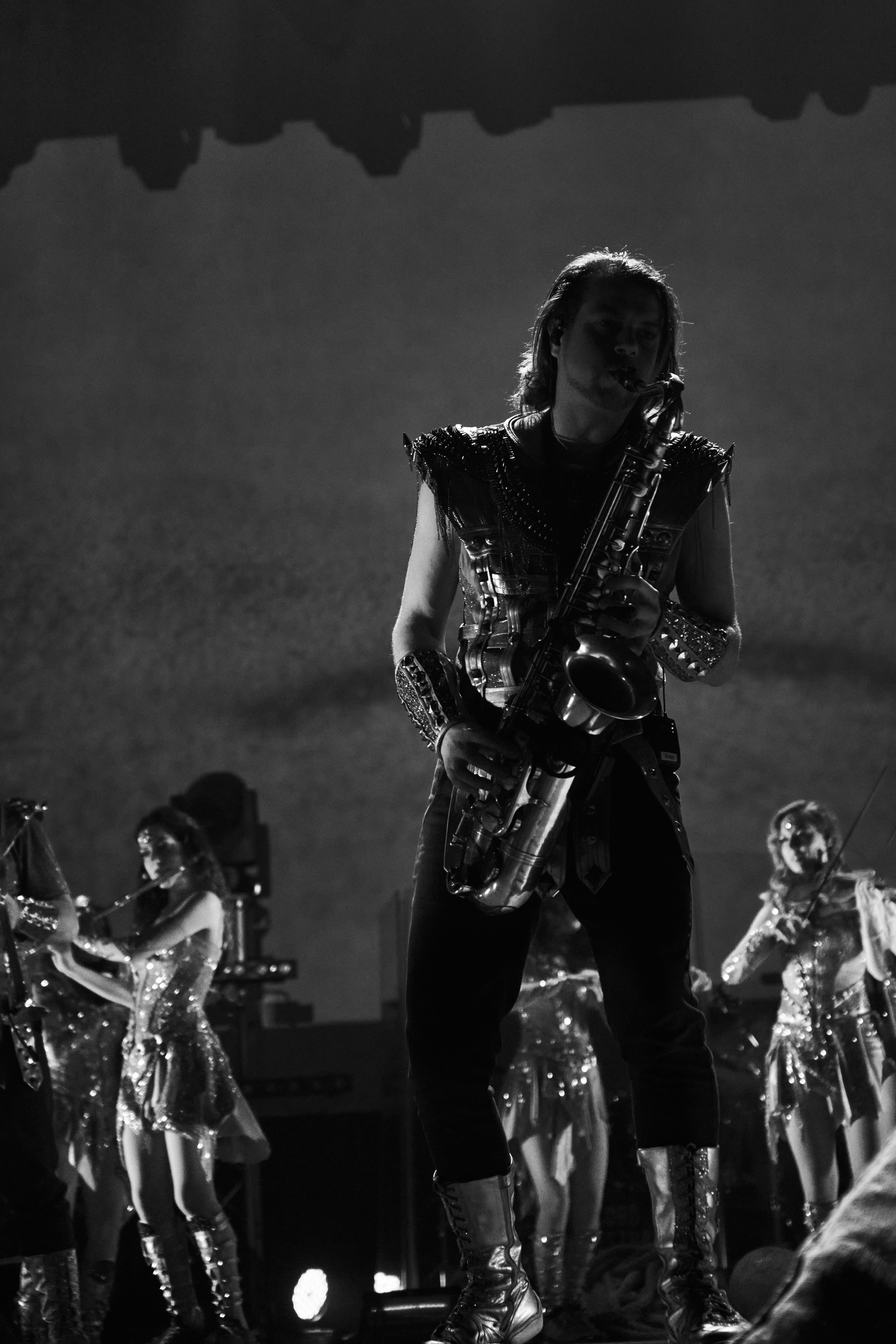 Concord orceatra. Фотограф