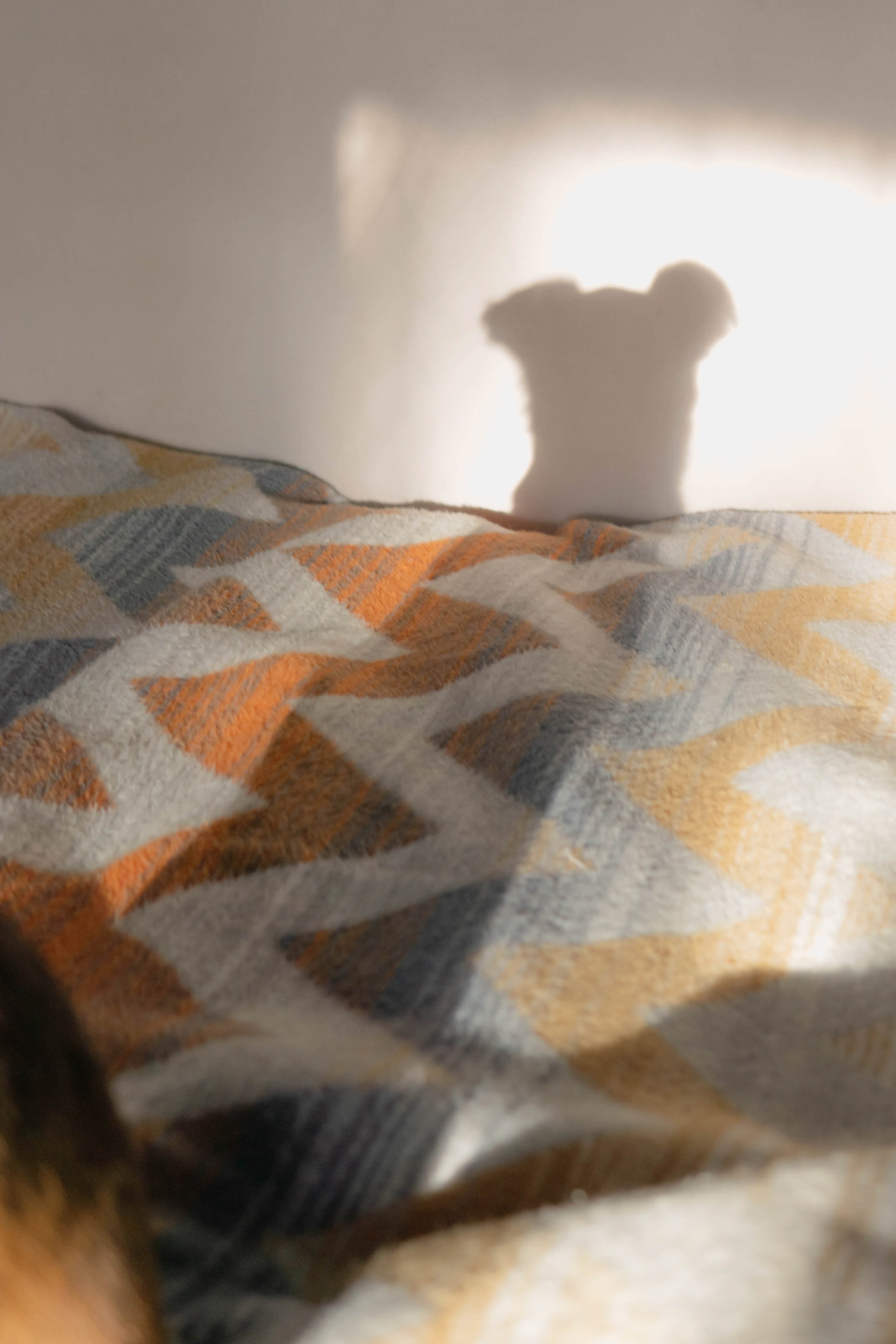 Надя и Ефим. Фотограф-анималист Ксения Воробьева, Москва