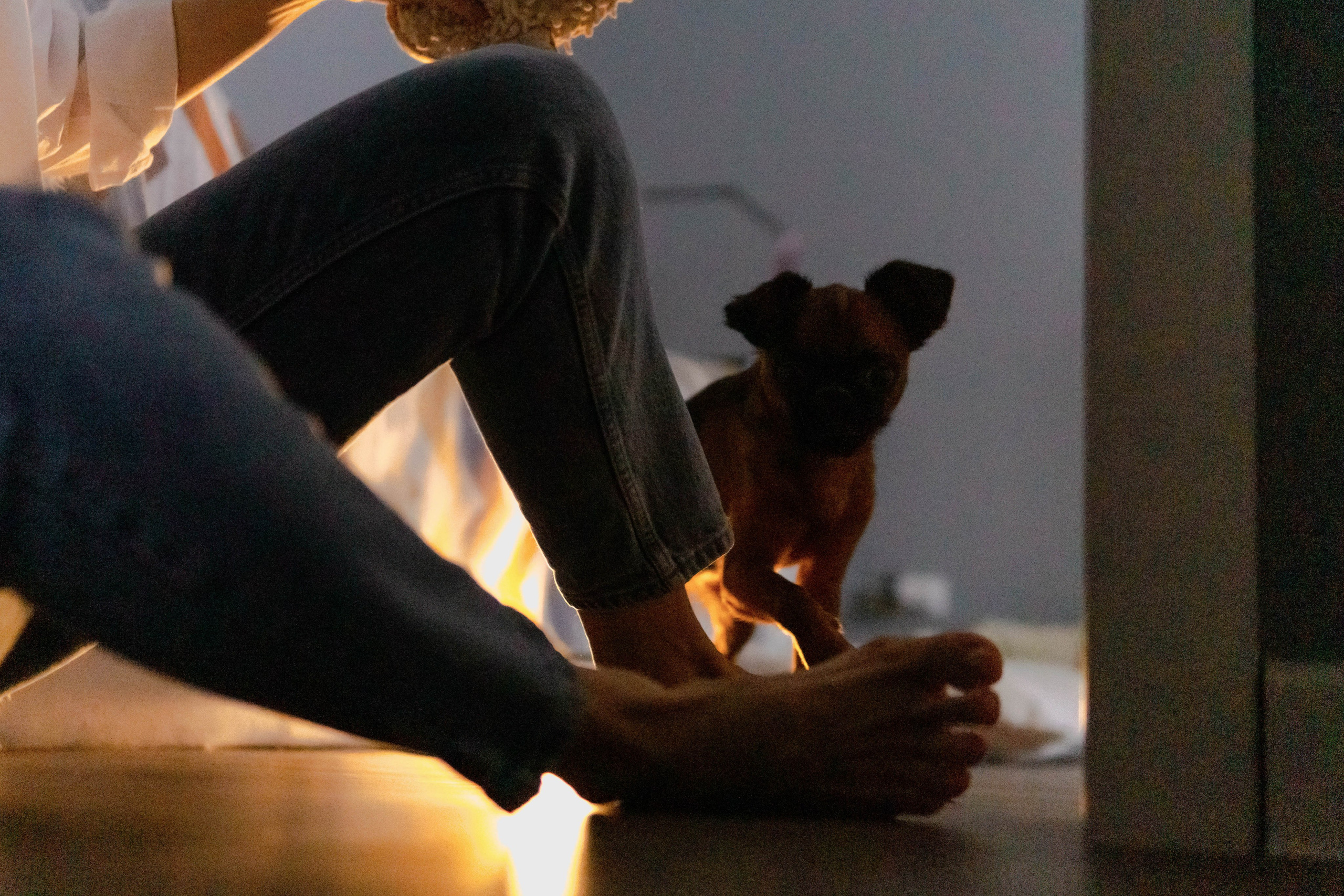 Надя и Ефим. Фотограф-анималист Ксения Воробьева, Москва