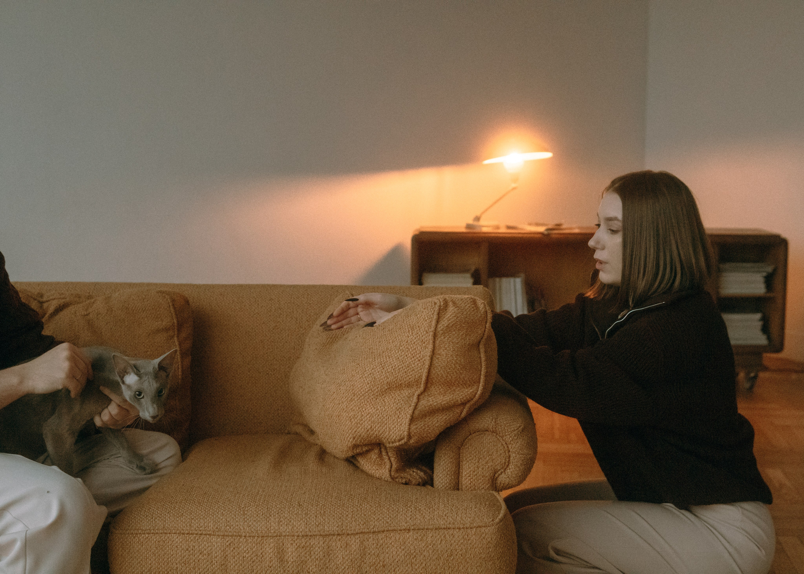 Амина, Булат и Орион. Фотограф-анималист Ксения Воробьева, Москва