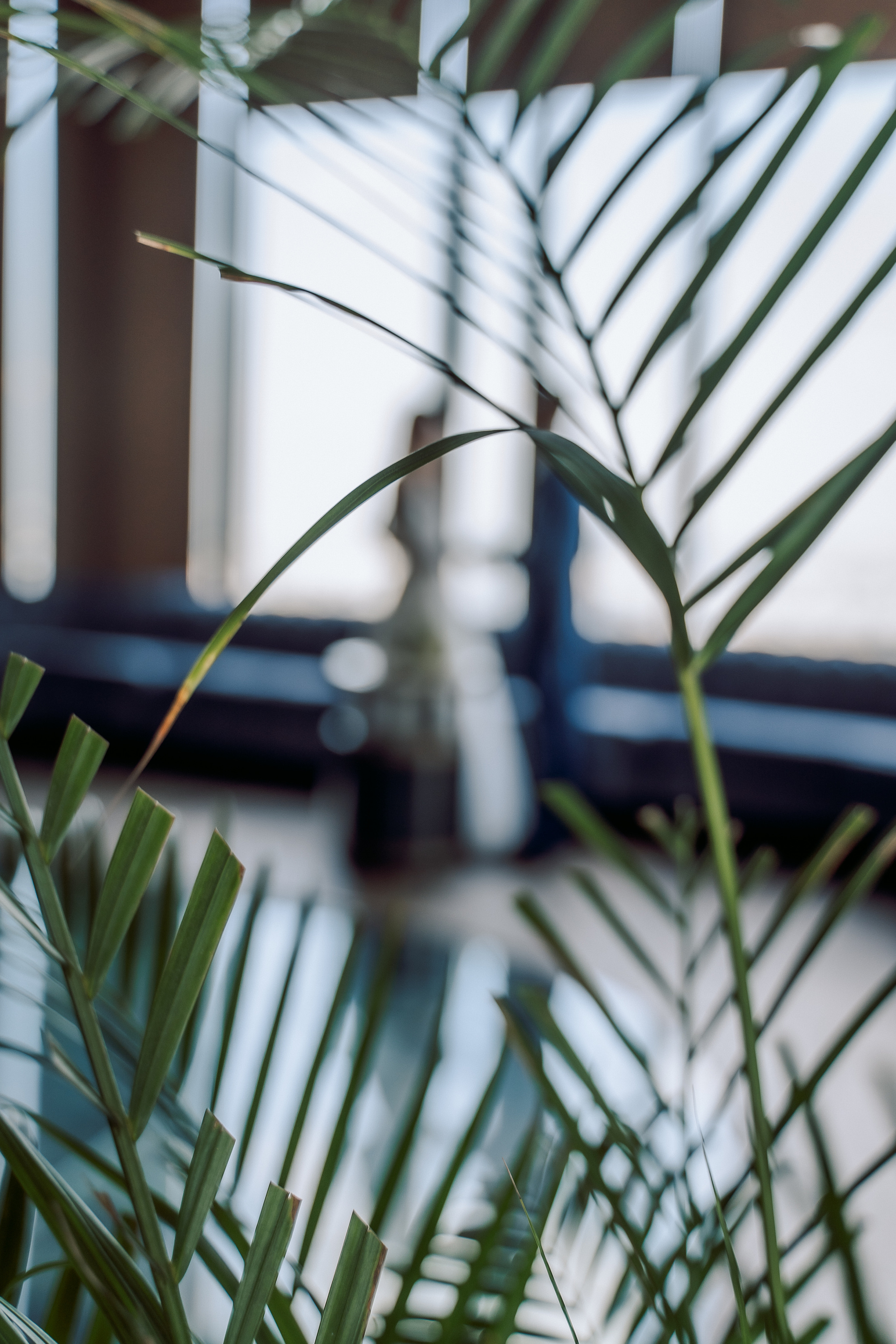 Оксана и Дмитрий. ВАША СЕМЕЙНАЯ ФОТОСТУДИЯ