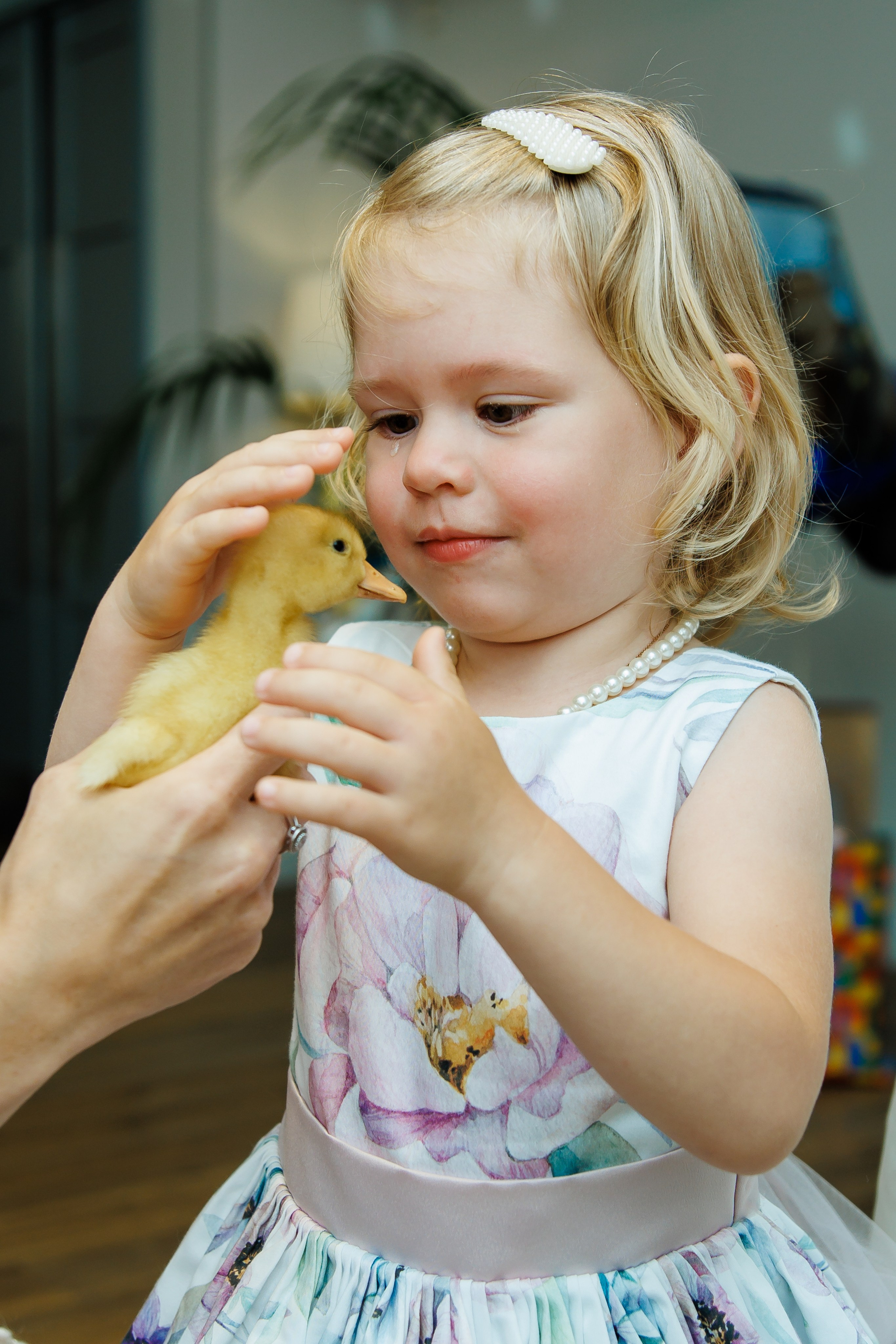 Банкетный репортаж. Главная