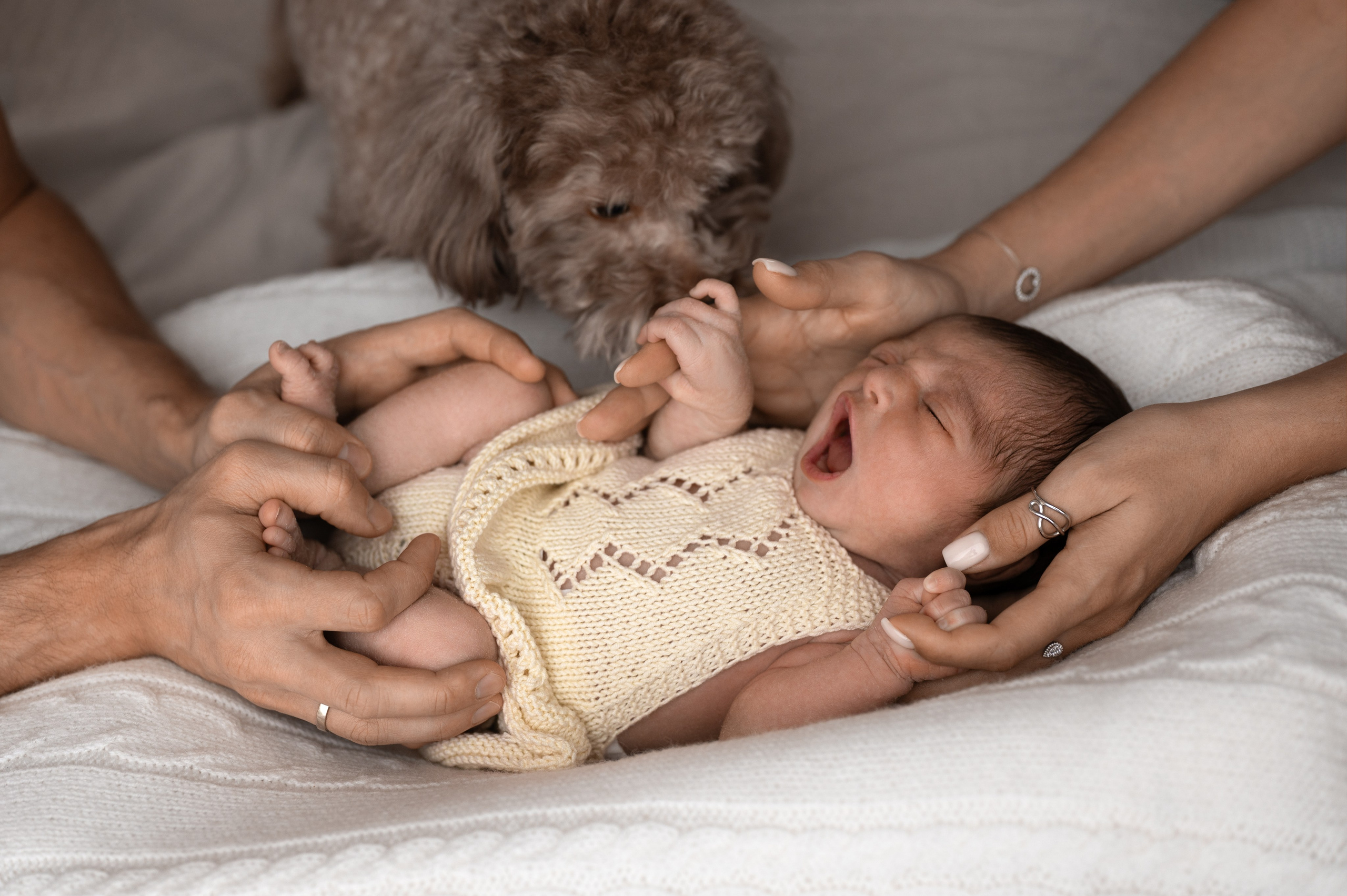Новорождённые. Фотограф новорождённых Ольга Ушакова Москва