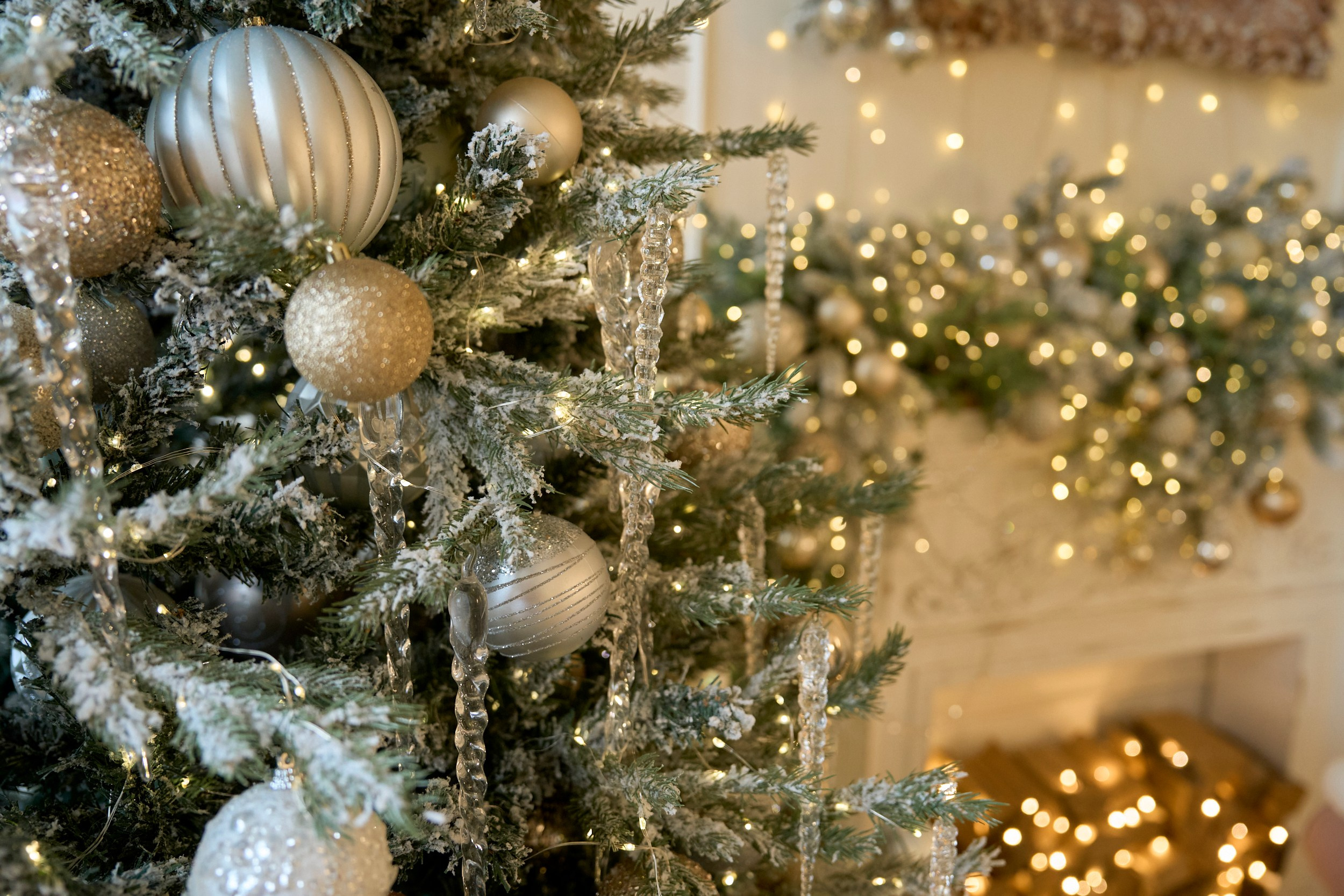 Париж (Paris). Фотограф г. Хабаровск. Семейные и индивидуальные съёмки