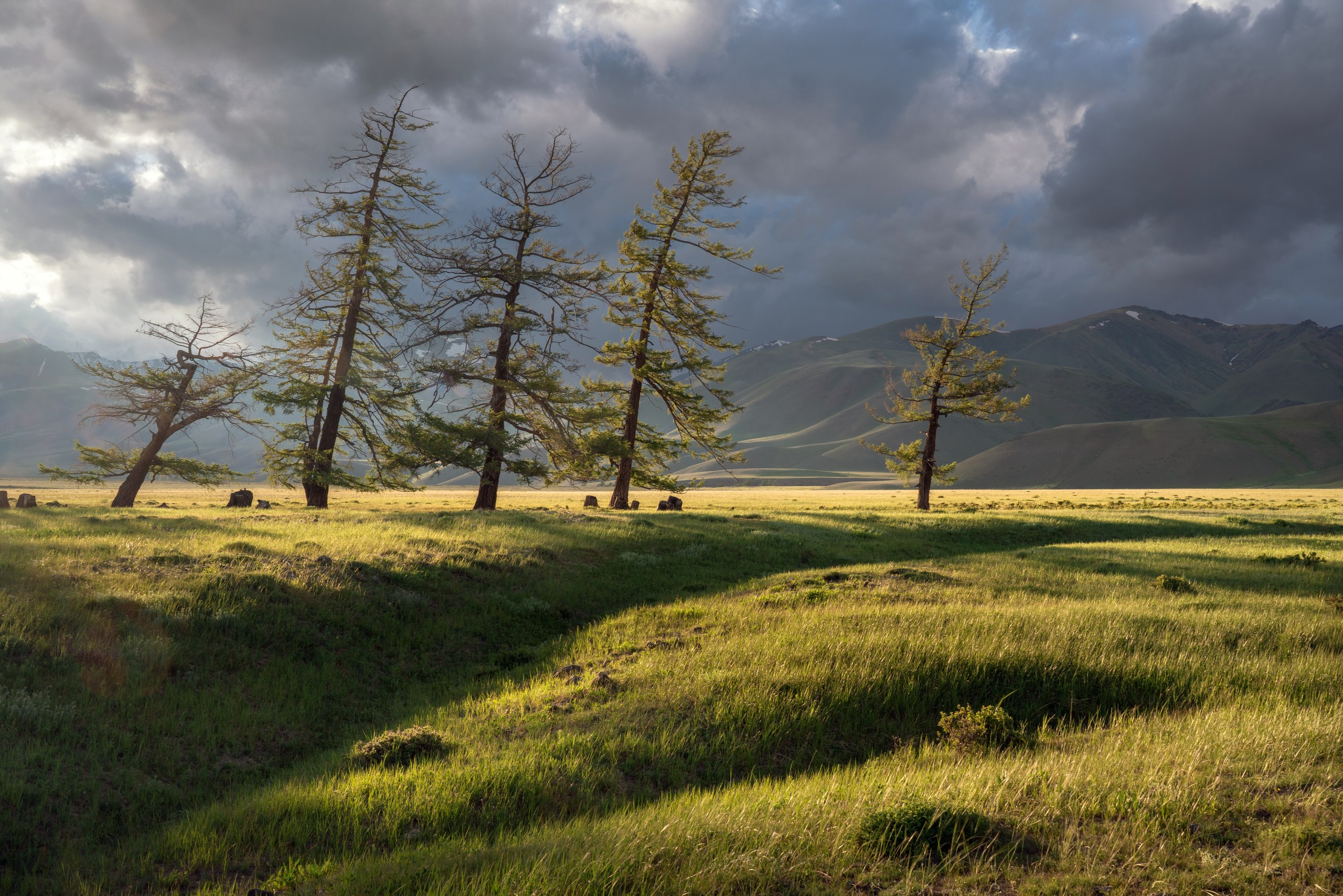 Тува. Фотограф в Красноярске Нерозя Александр. Пейзаж, природа, портрет