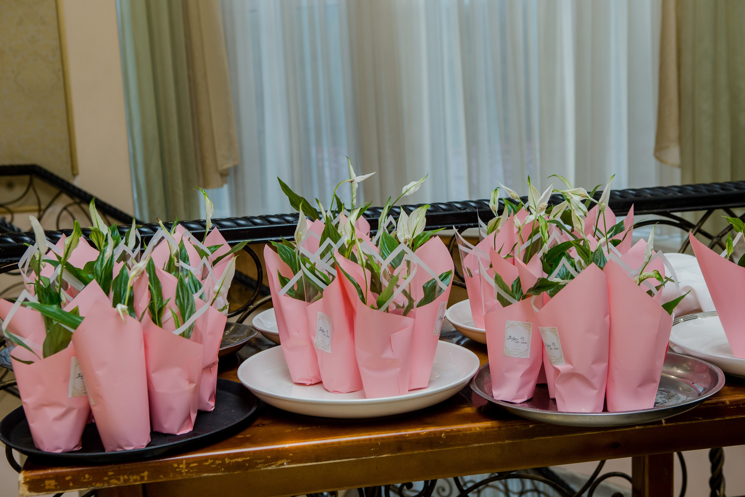 QYZ UZATU ZHADYRA. Свадебный и репортажный фотограф в Астане T.Yertay «Nomad media»