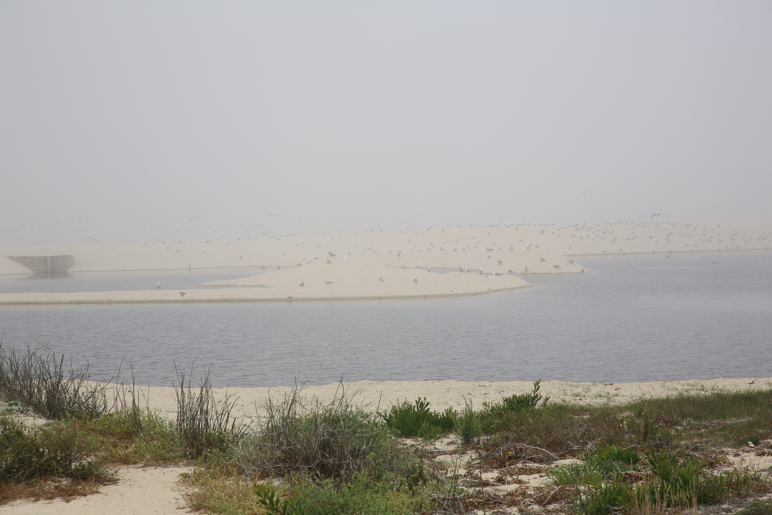 Esmoriz, Portugal. Andrey Filippov Photographer