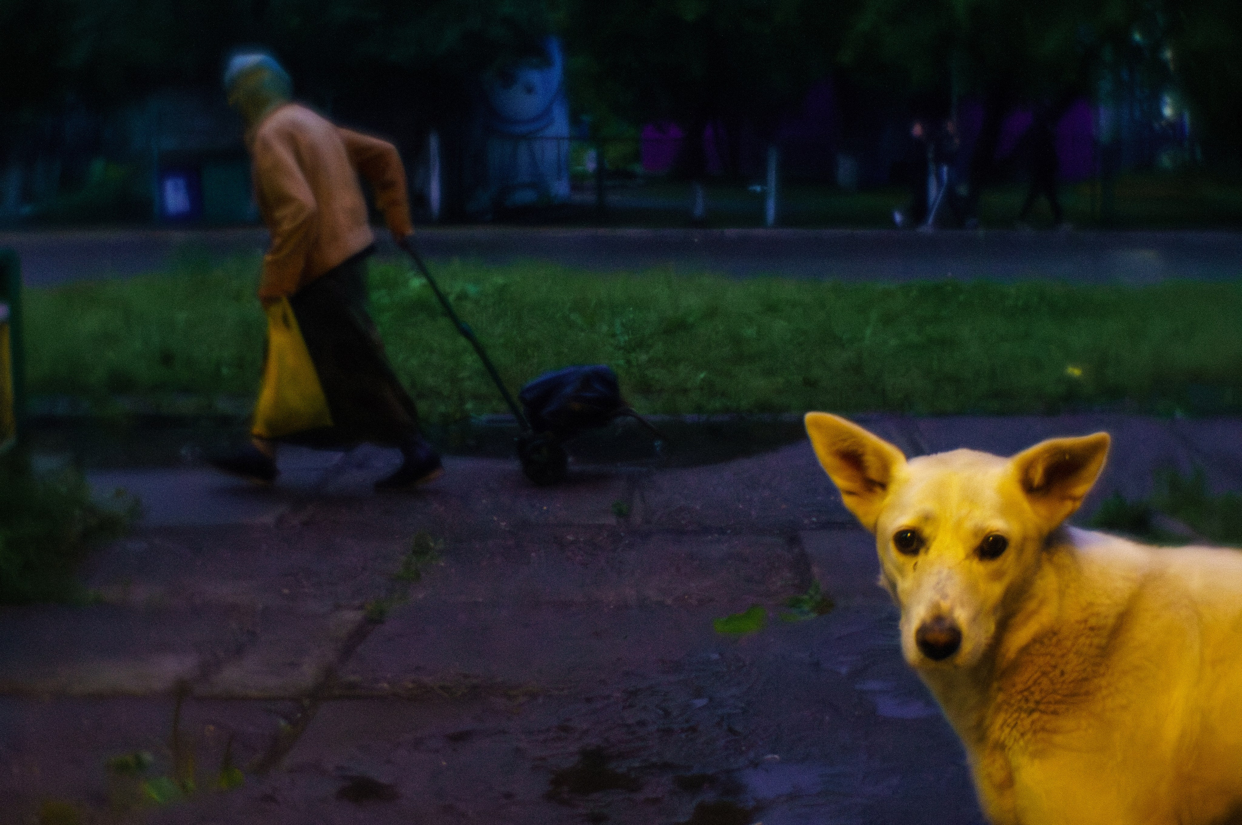 Промежуточные объекты. Фотограф Алик Мелконян