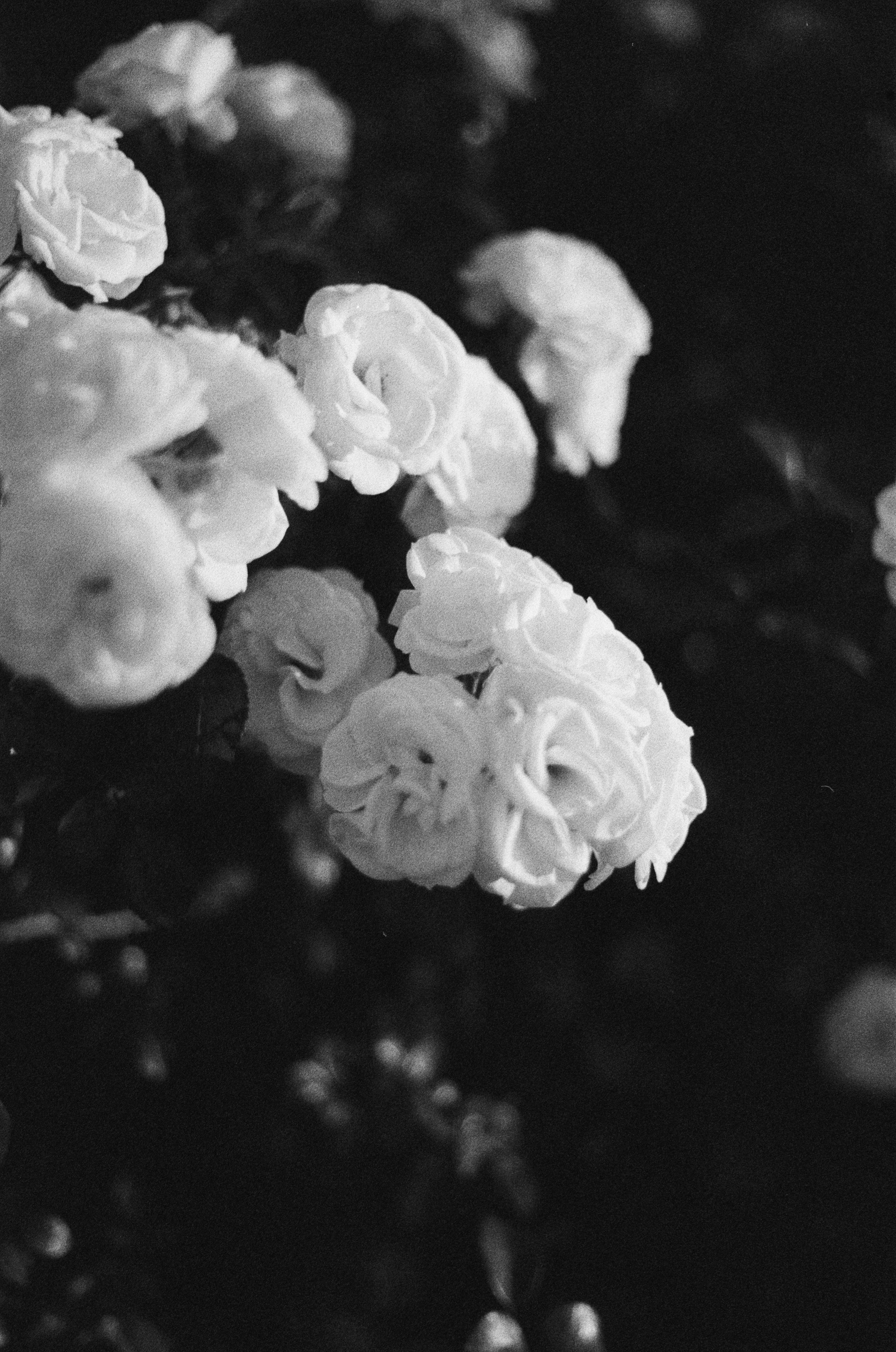 Полина. Профессиональный Фотограф во Владимире, в Москве и в Суздале — Полина Романычева