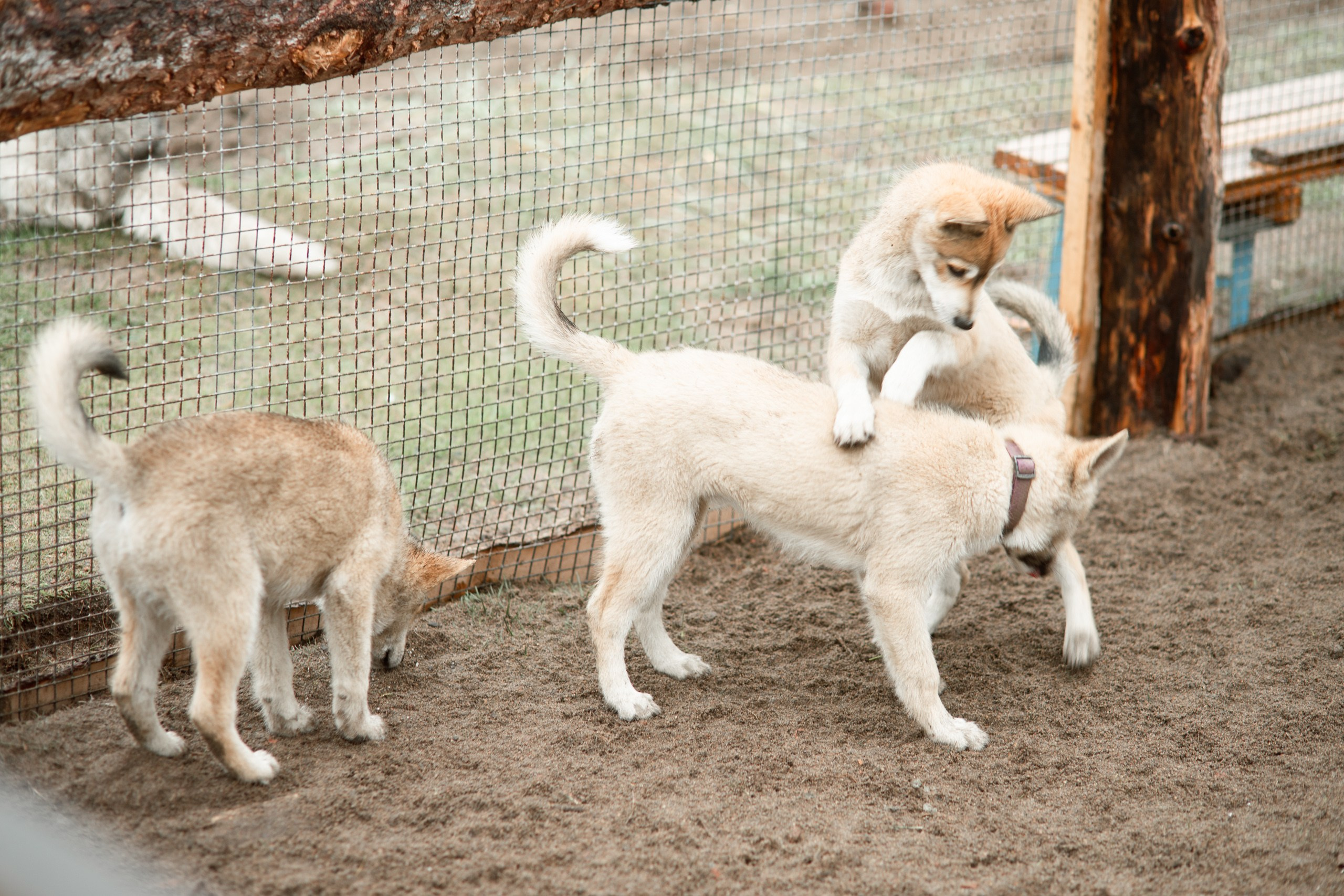 Мурманск. Фотограф Сергей Красильников