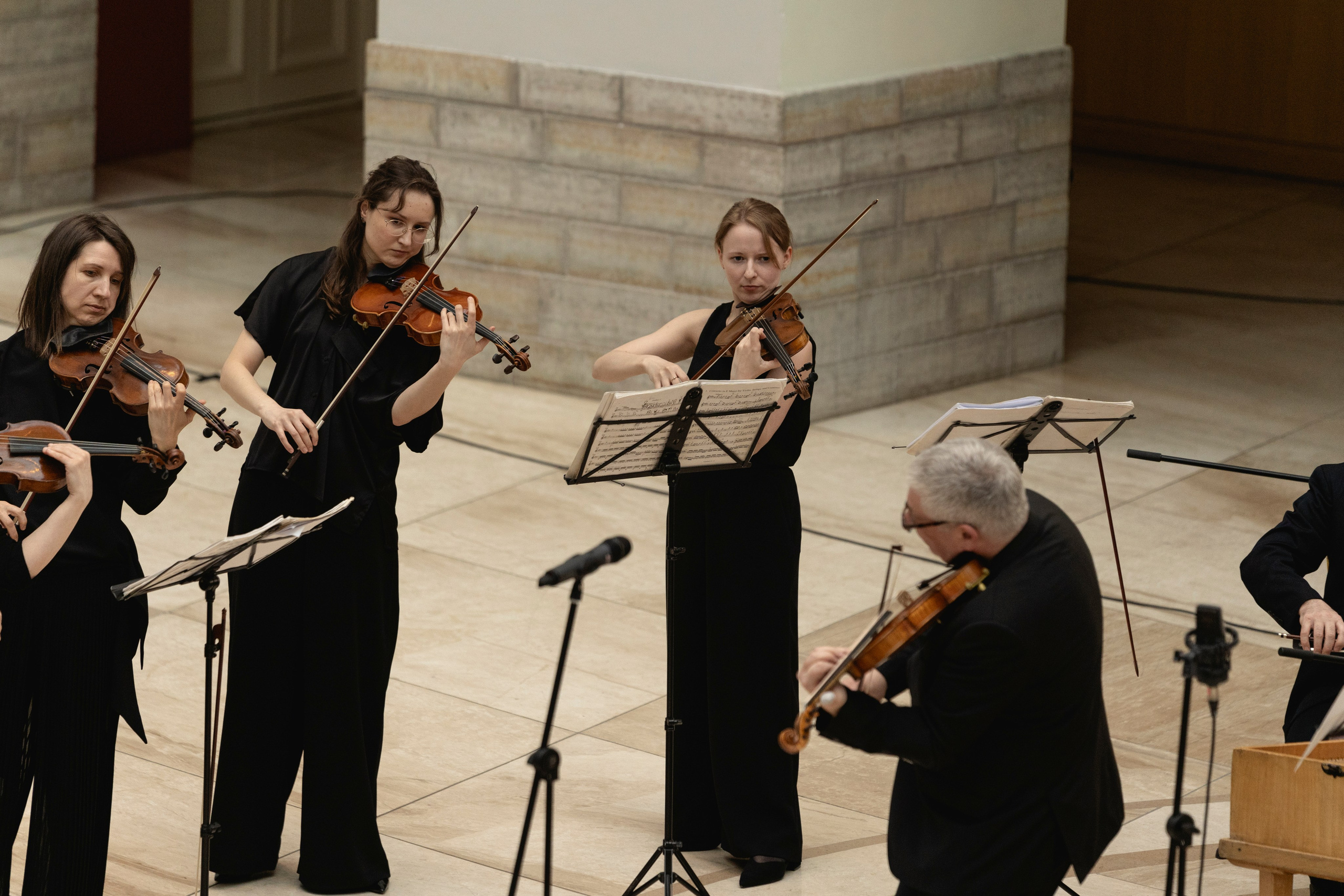 The State Hermitage Museum. Divertissement Chamber Orchestra. Фотограф Ирина Соколенко Санкт-Петербург