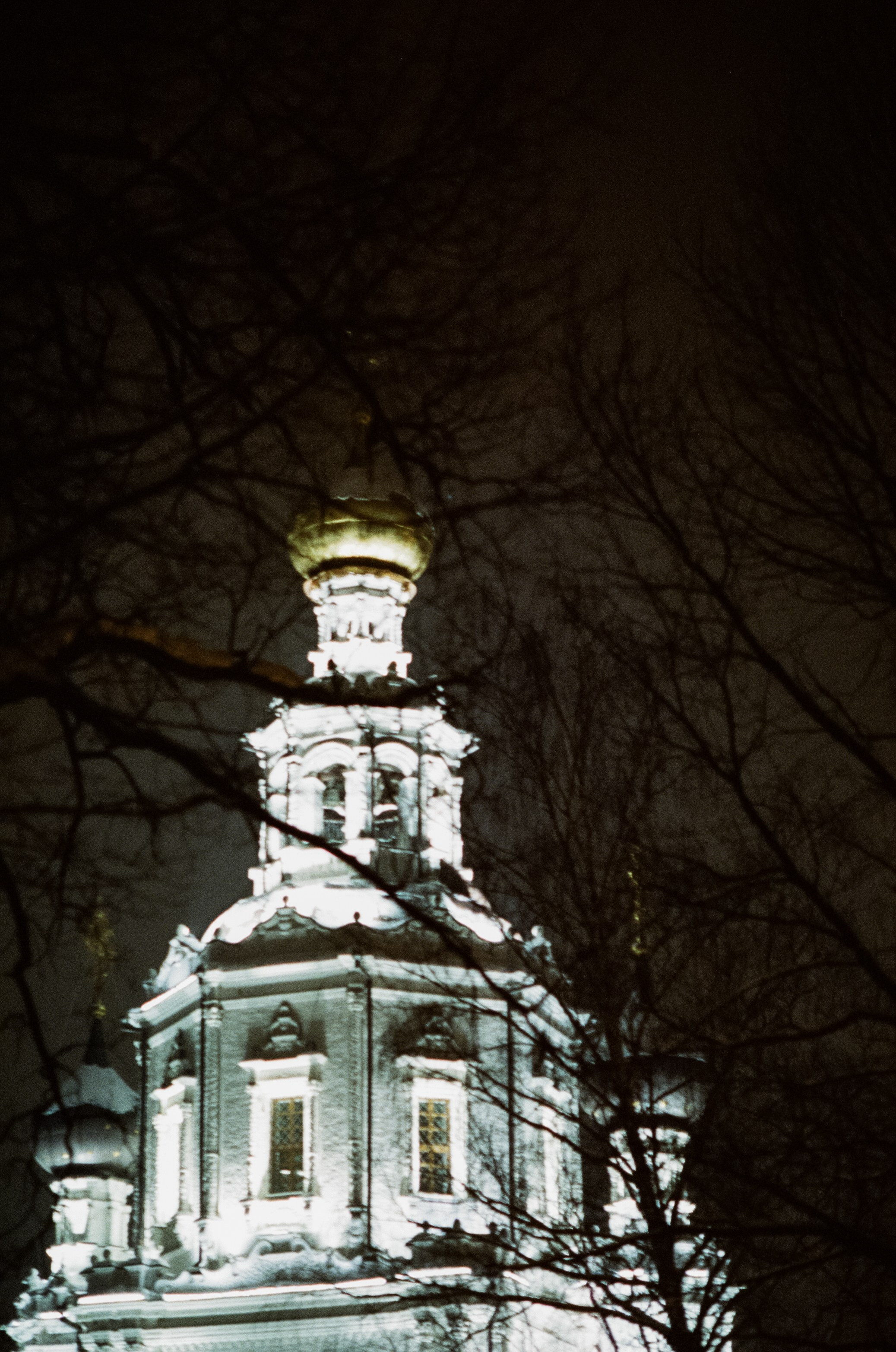 SFL 500T (Kodak Vision 3 500T) / Canon T80 / Canon FD 85 mm f1.2 L