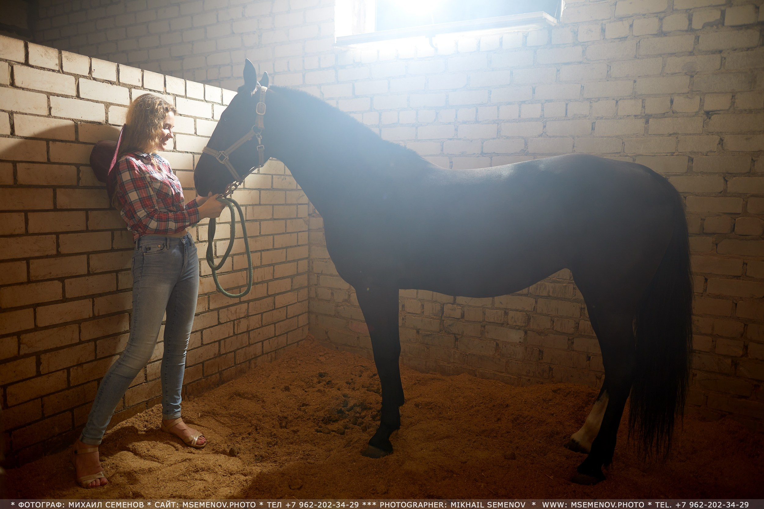 Фотосессия с лошадьми в г. Ярославль. Фотограф Михаил Семенов