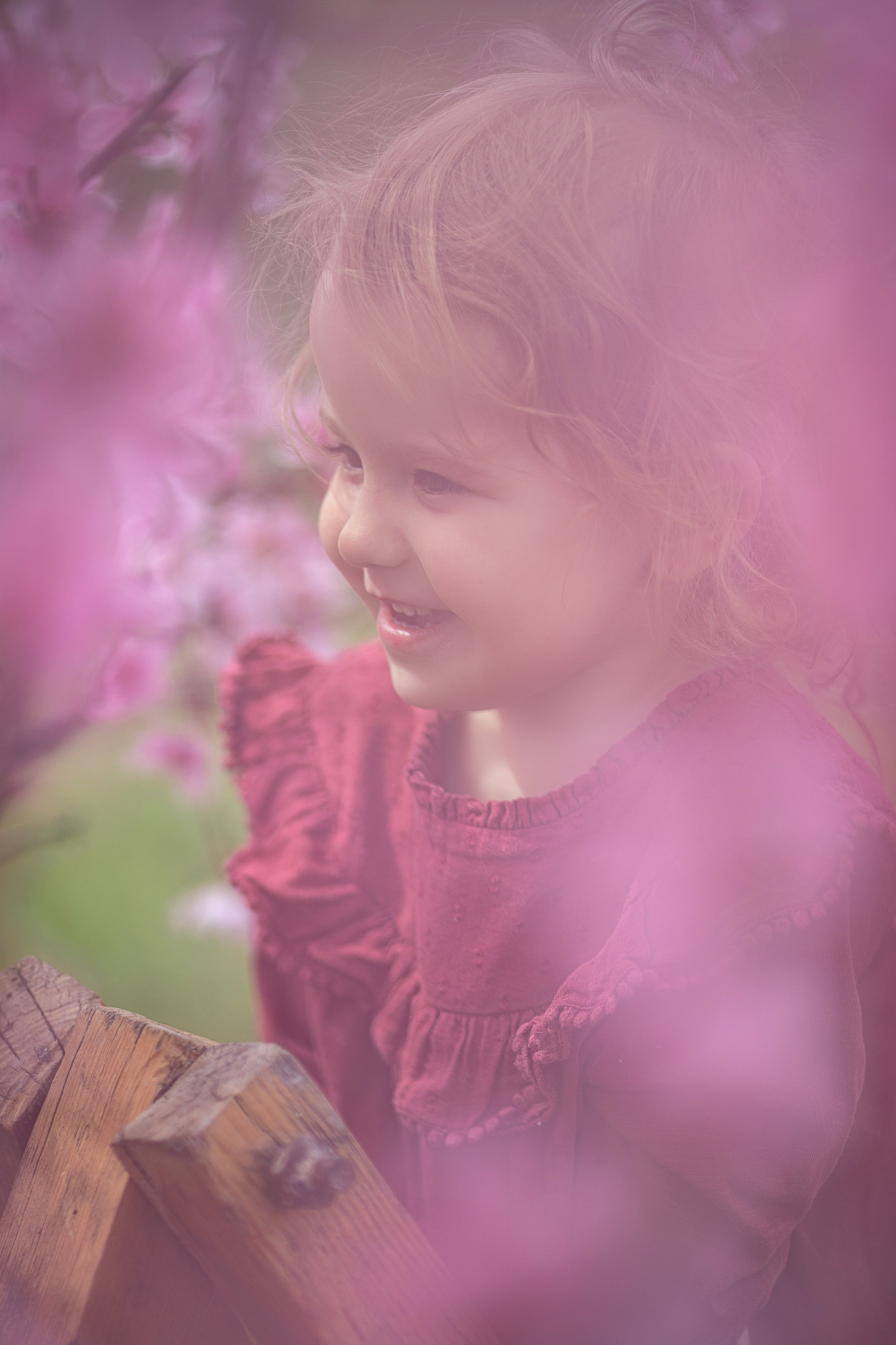 Цветущие персики 2024 г. Семейный и детский фотограф в Крыму Екатерина Швец