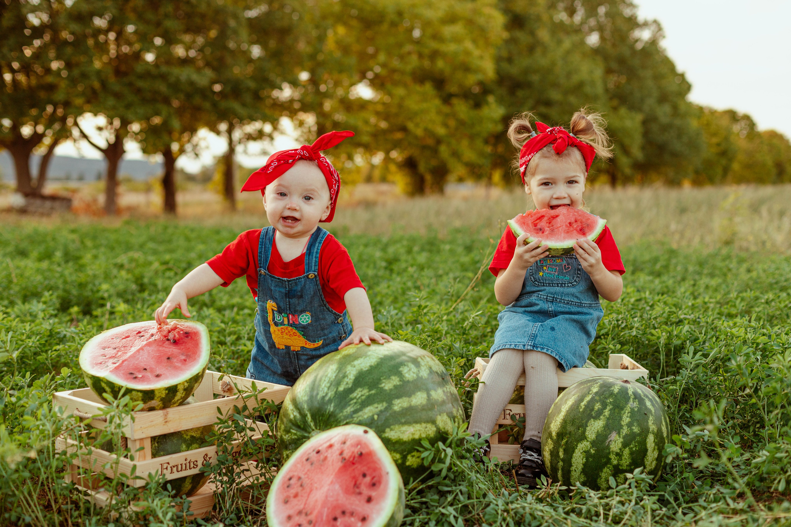 АРБУЗЫ. Семейный и детский фотограф в Крыму Екатерина Швец