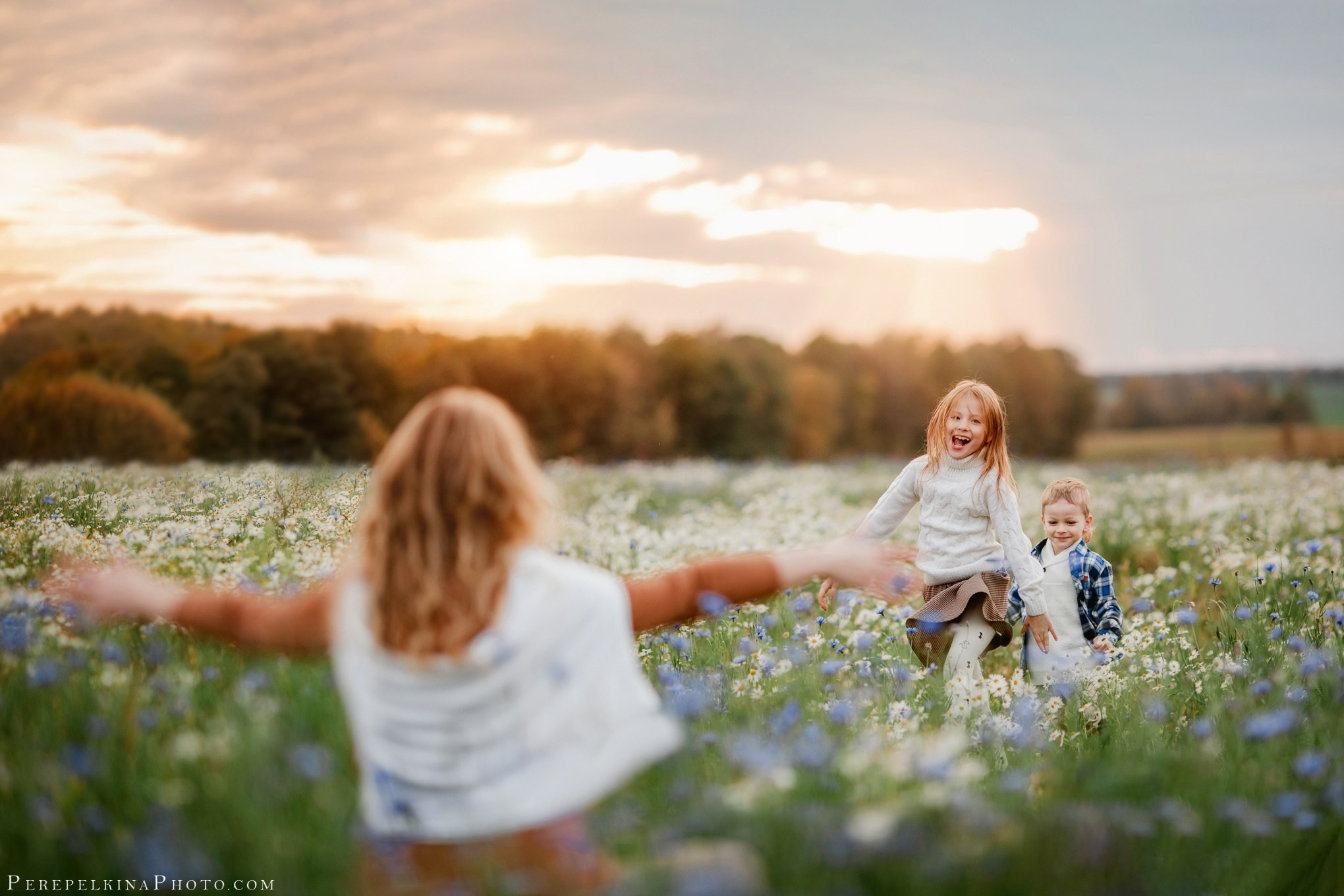 Красота природы (сборная). Семейный и детский фотограф |Брянск| Анастасия Перепелкина