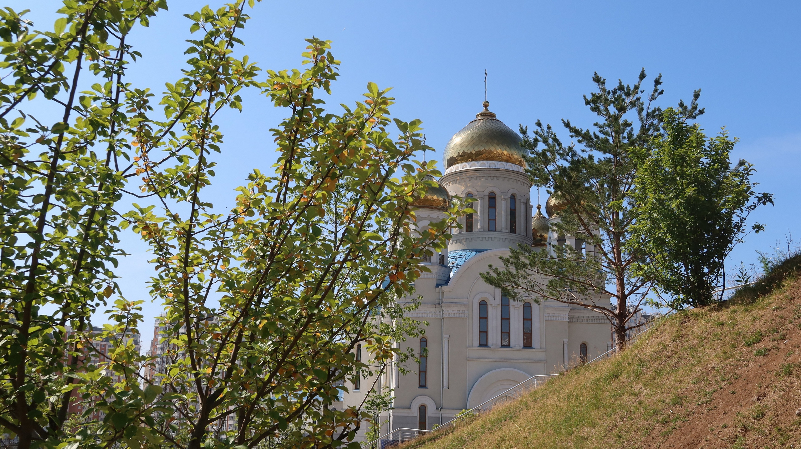 Улица, люди, жизнь…