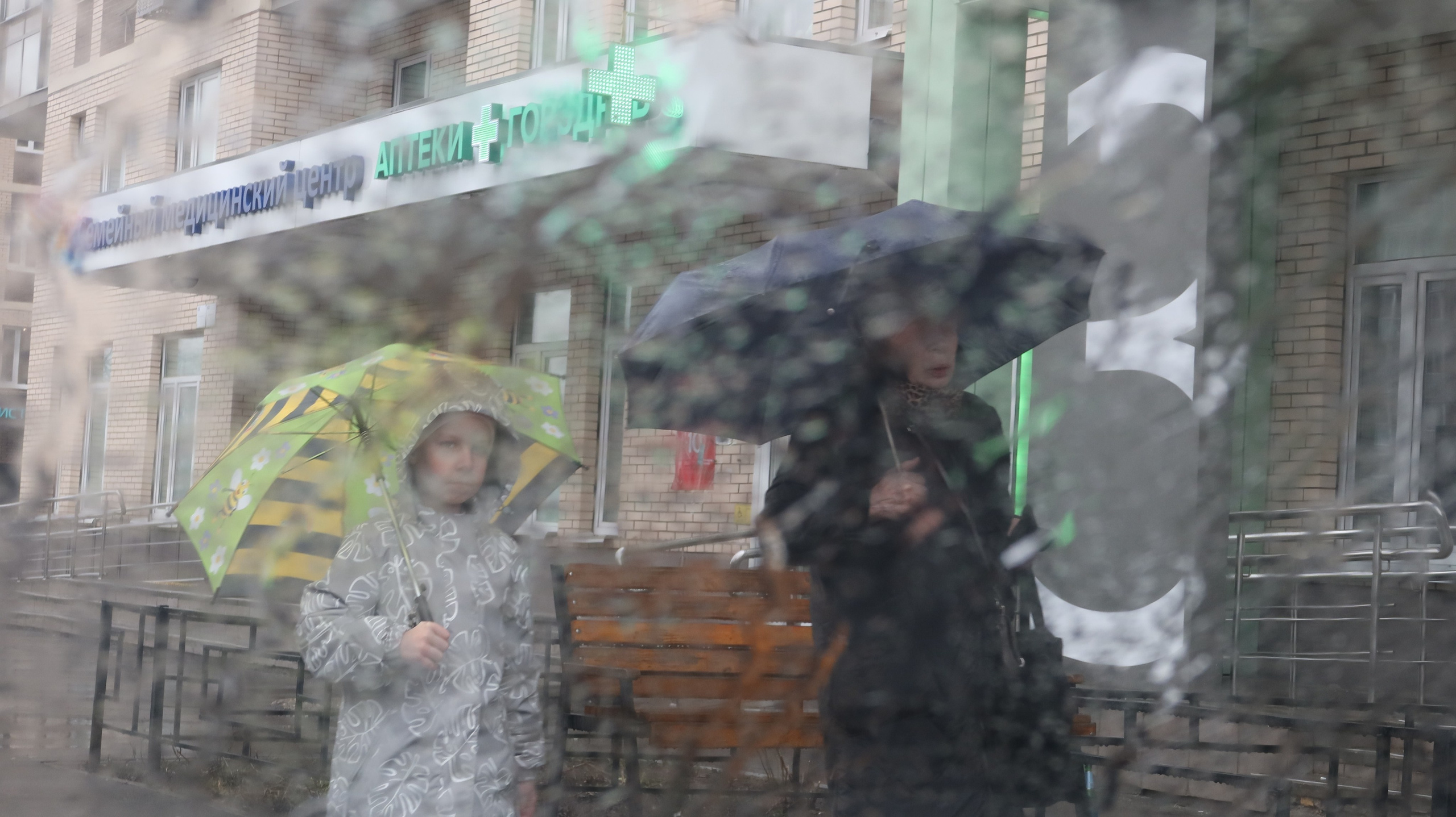 Осень 2023. Улица, люди, жизнь…