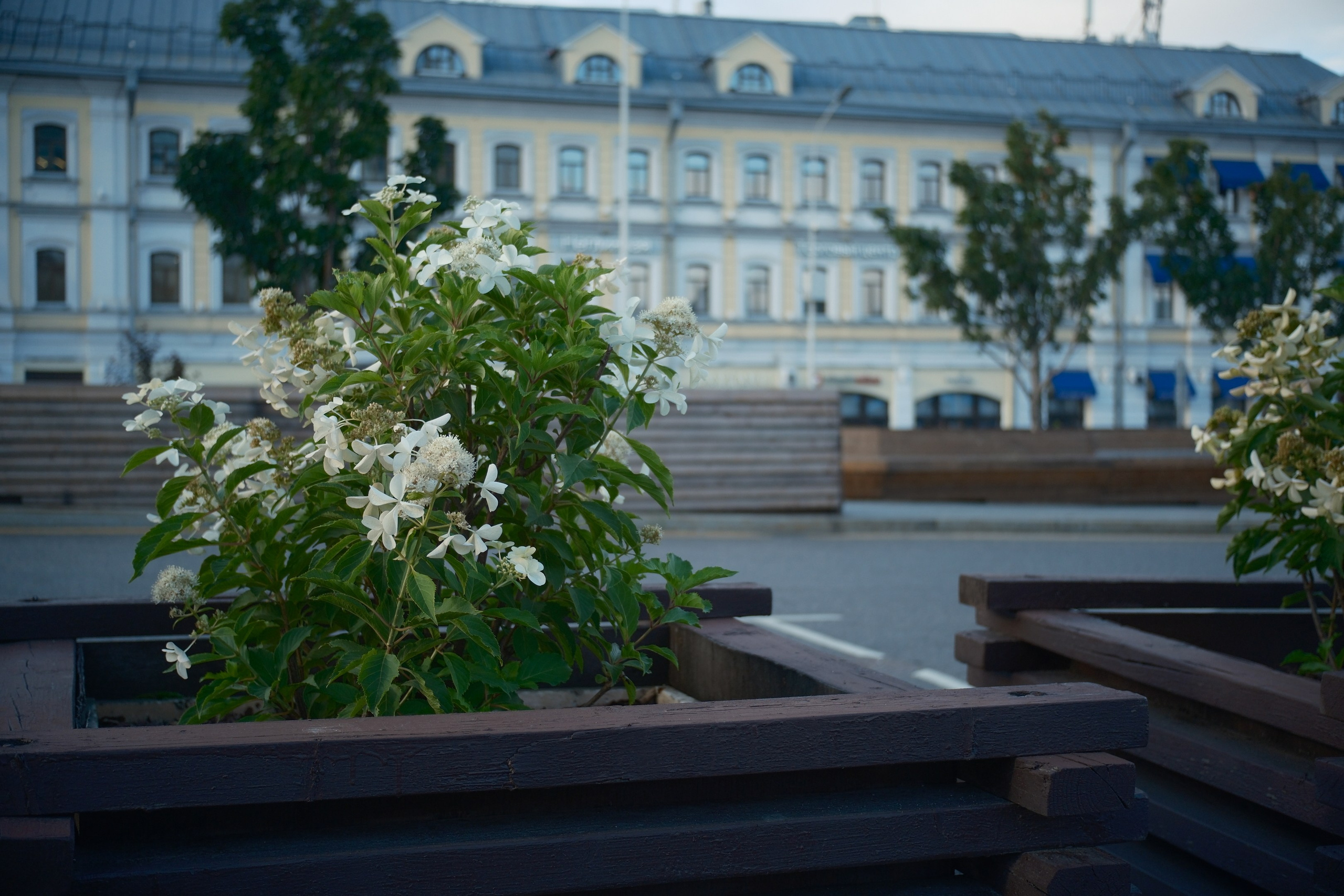 Август 2025. Улица, люди, жизнь…