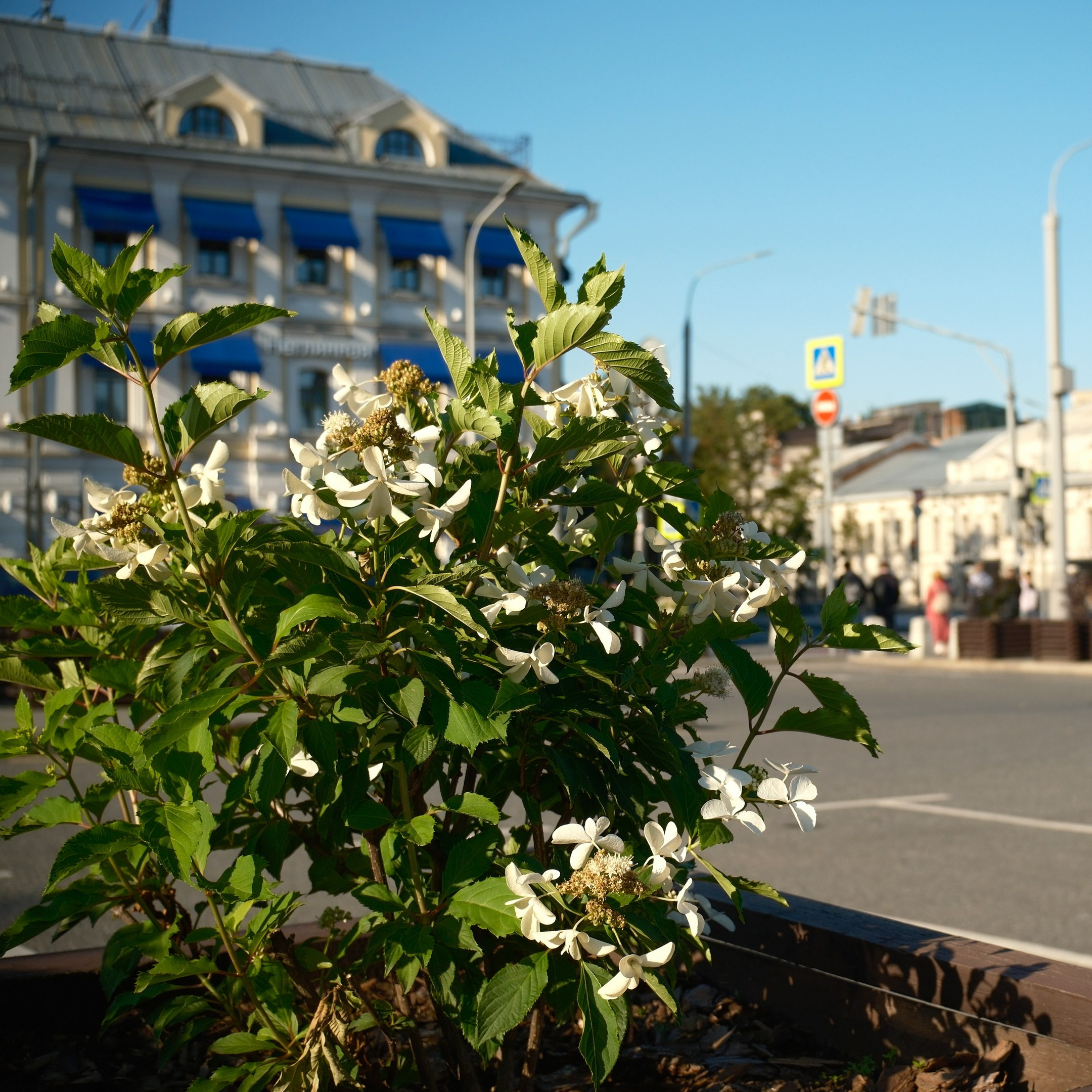 Август 2025. Улица, люди, жизнь…