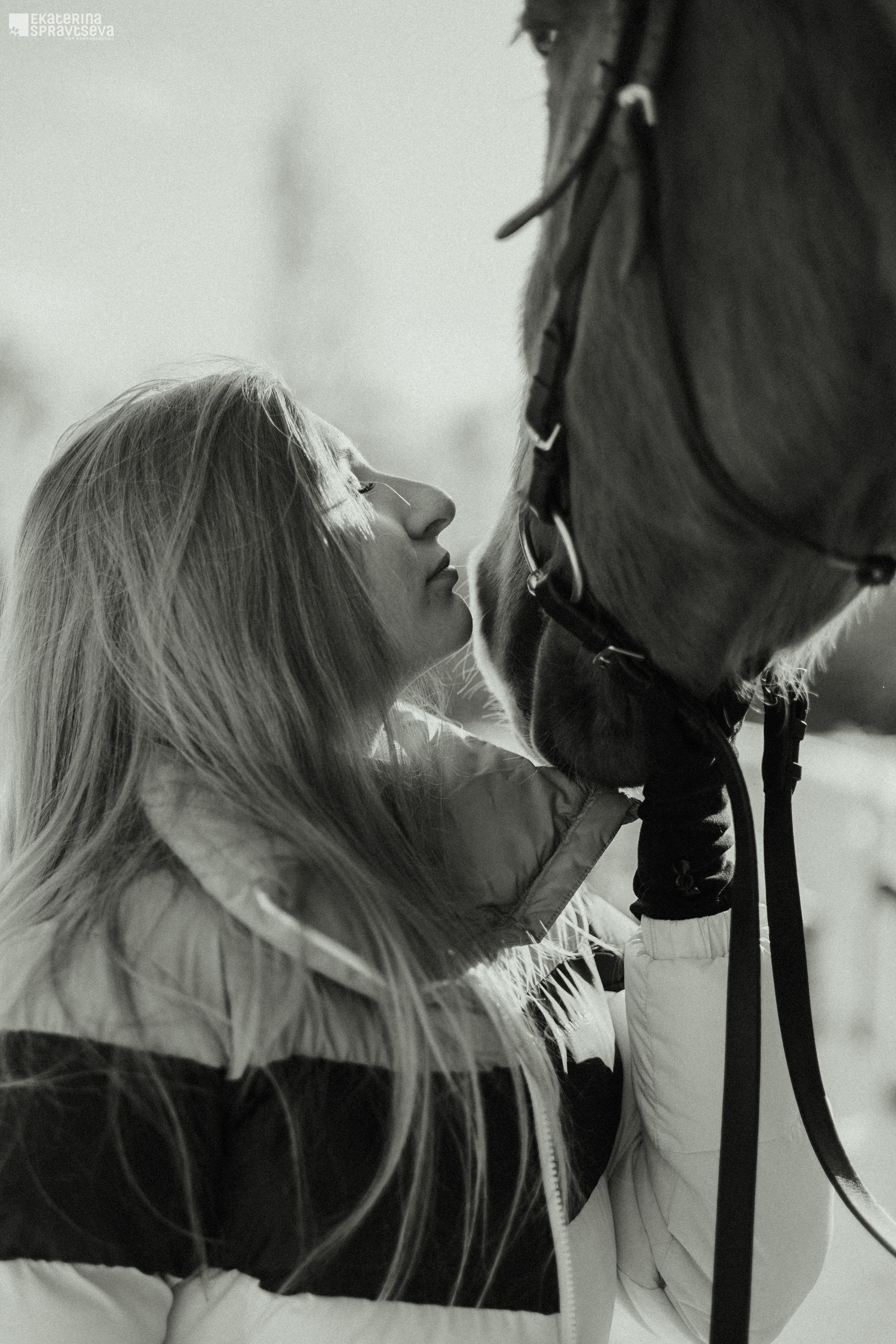 Среди грив и копыт. Фотограф Анималист Екатерина Справцева в Нижнем Новгороде