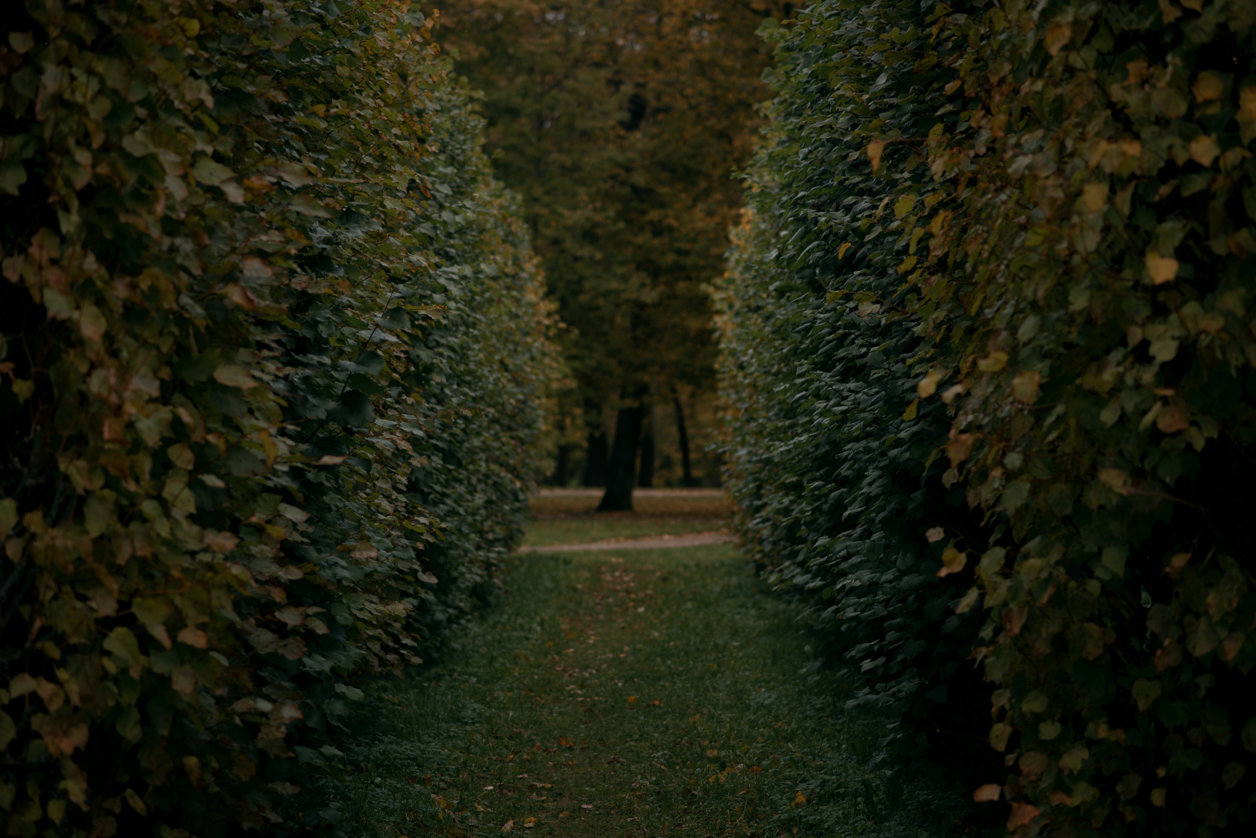 Юля Дэй • Фотограф, Санкт-Петербург