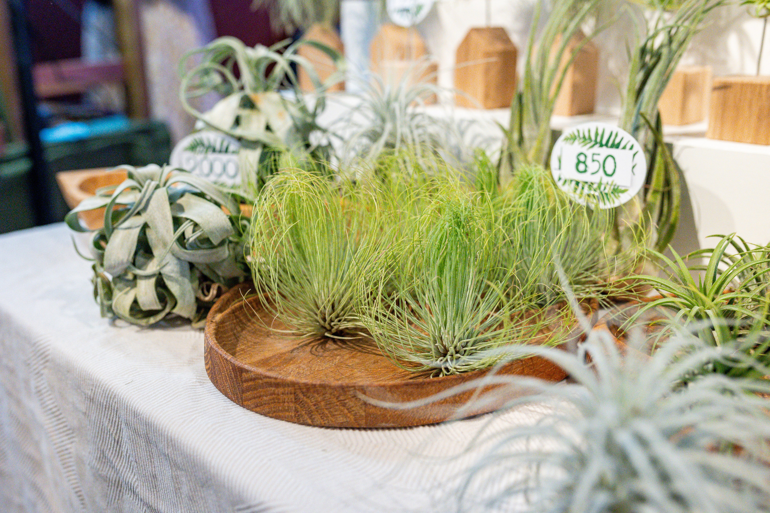 Growbox 5лет. Александра Куликова фотограф, Москва